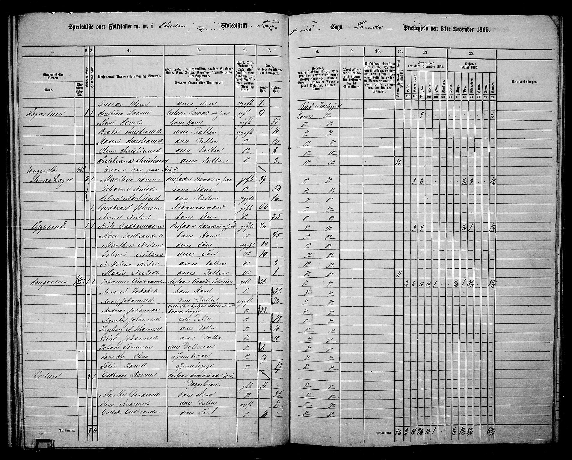 RA, 1865 census for Land, 1865, p. 104