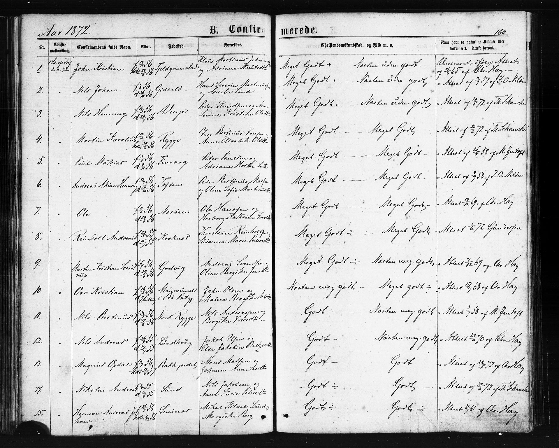 Ministerialprotokoller, klokkerbøker og fødselsregistre - Nordland, AV/SAT-A-1459/893/L1334: Parish register (official) no. 893A07, 1867-1877, p. 160