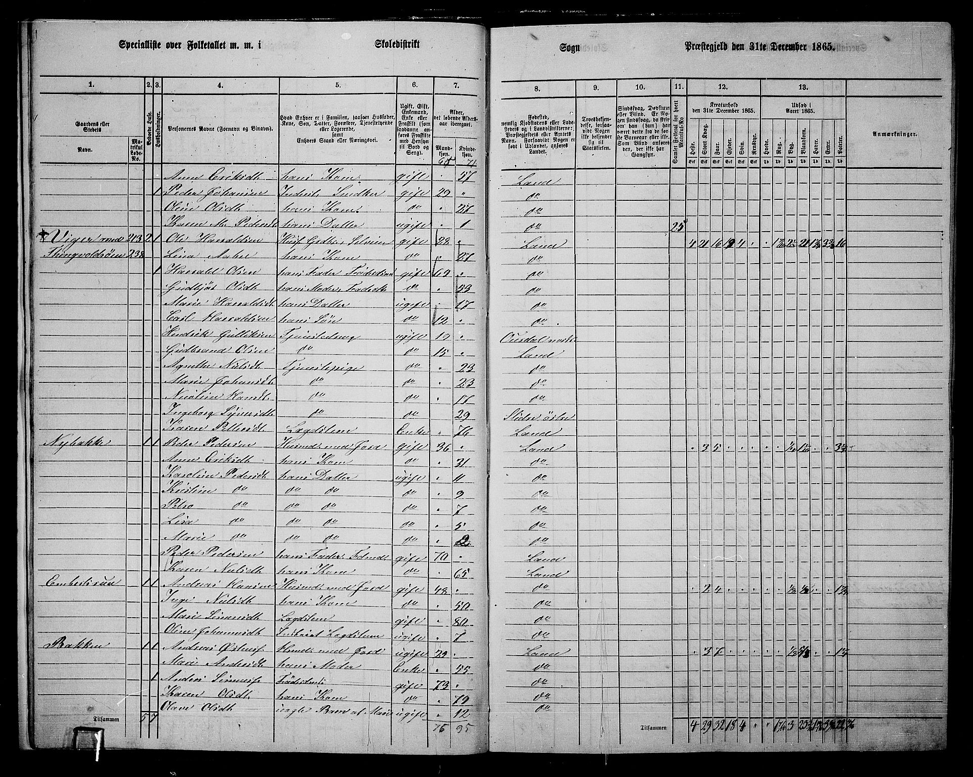 RA, 1865 census for Land, 1865, p. 222