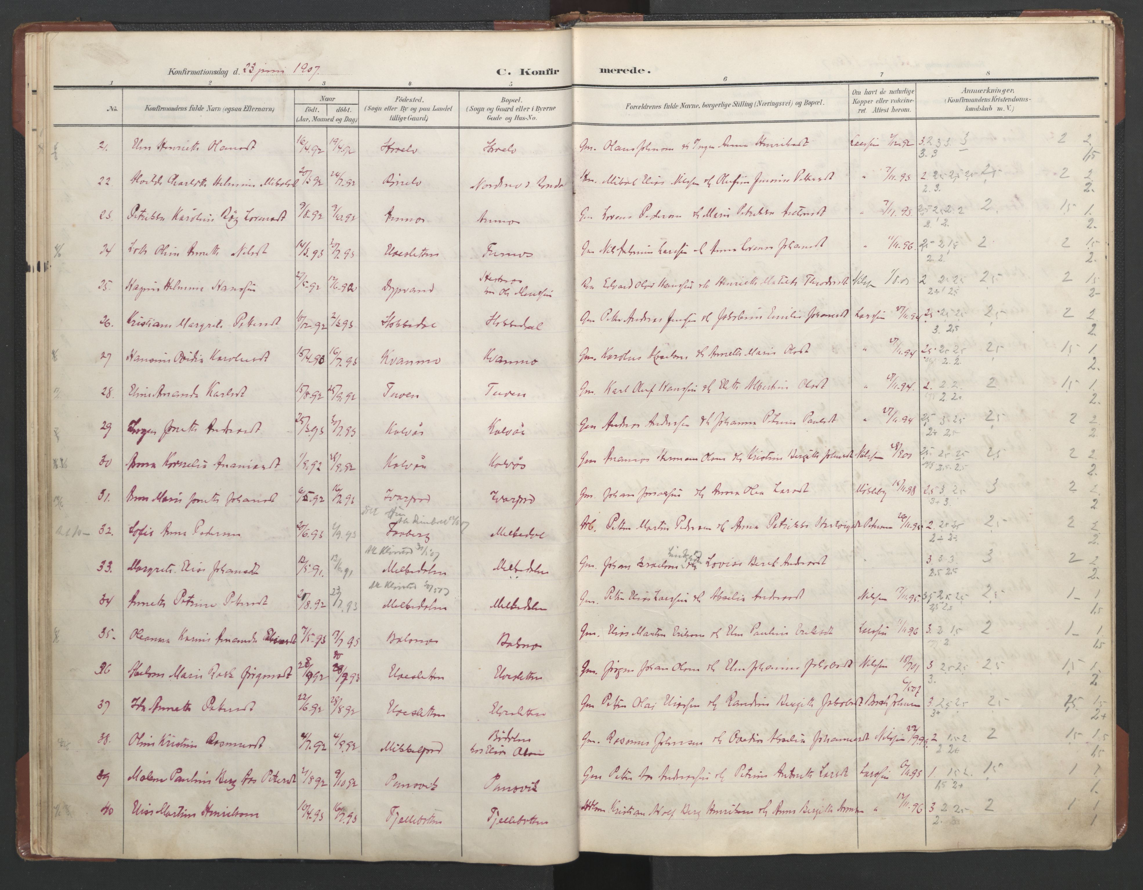 Ministerialprotokoller, klokkerbøker og fødselsregistre - Nordland, AV/SAT-A-1459/863/L0918: Parish register (copy) no. 863C08, 1906-1921