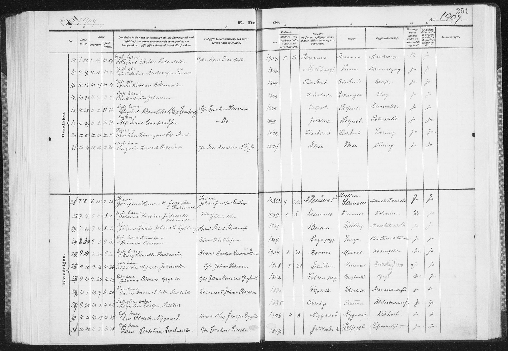 Ministerialprotokoller, klokkerbøker og fødselsregistre - Nordland, SAT/A-1459/805/L0104: Parish register (official) no. 805A09, 1909-1926, p. 251