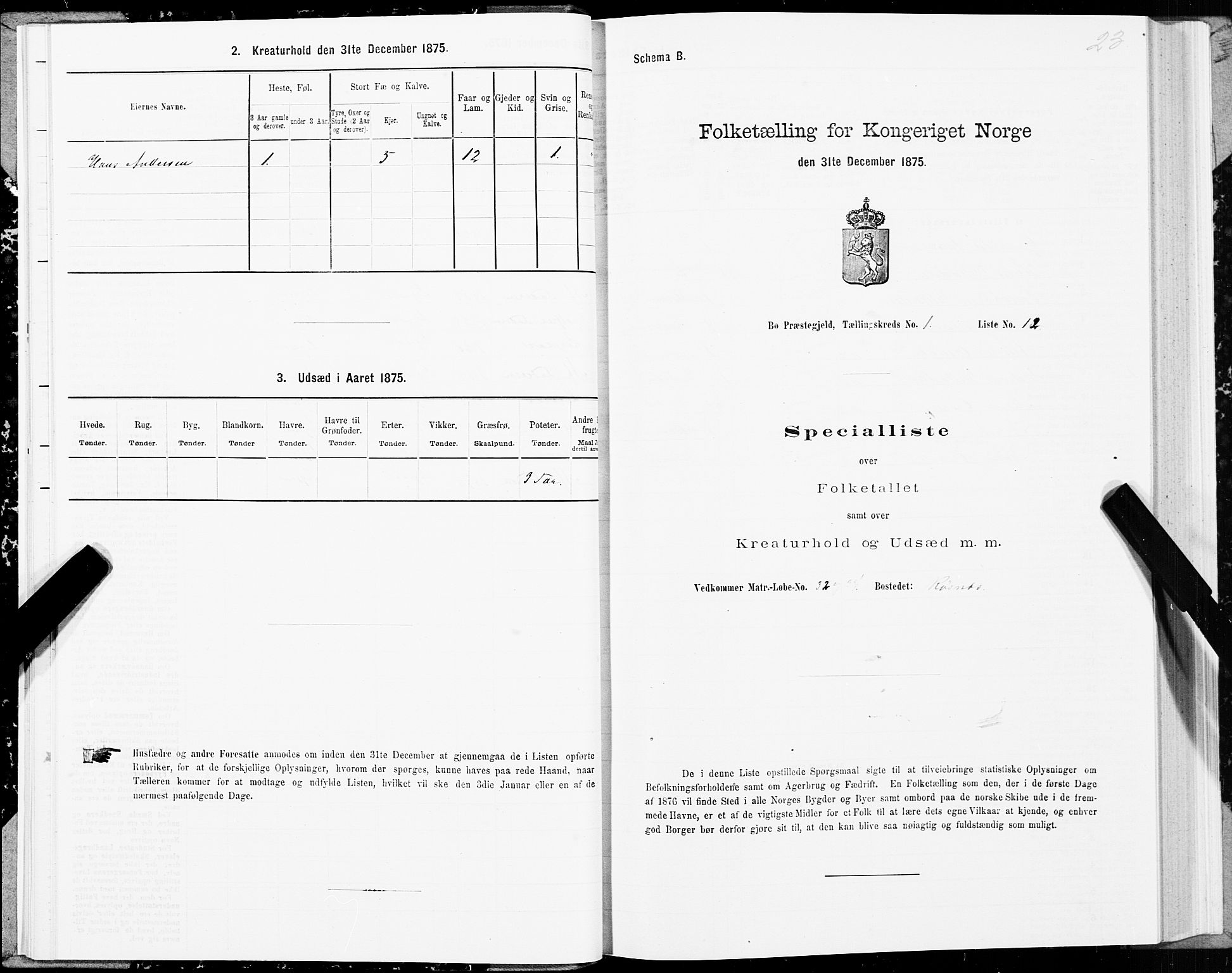 SAT, 1875 census for 1867P Bø, 1875, p. 1023