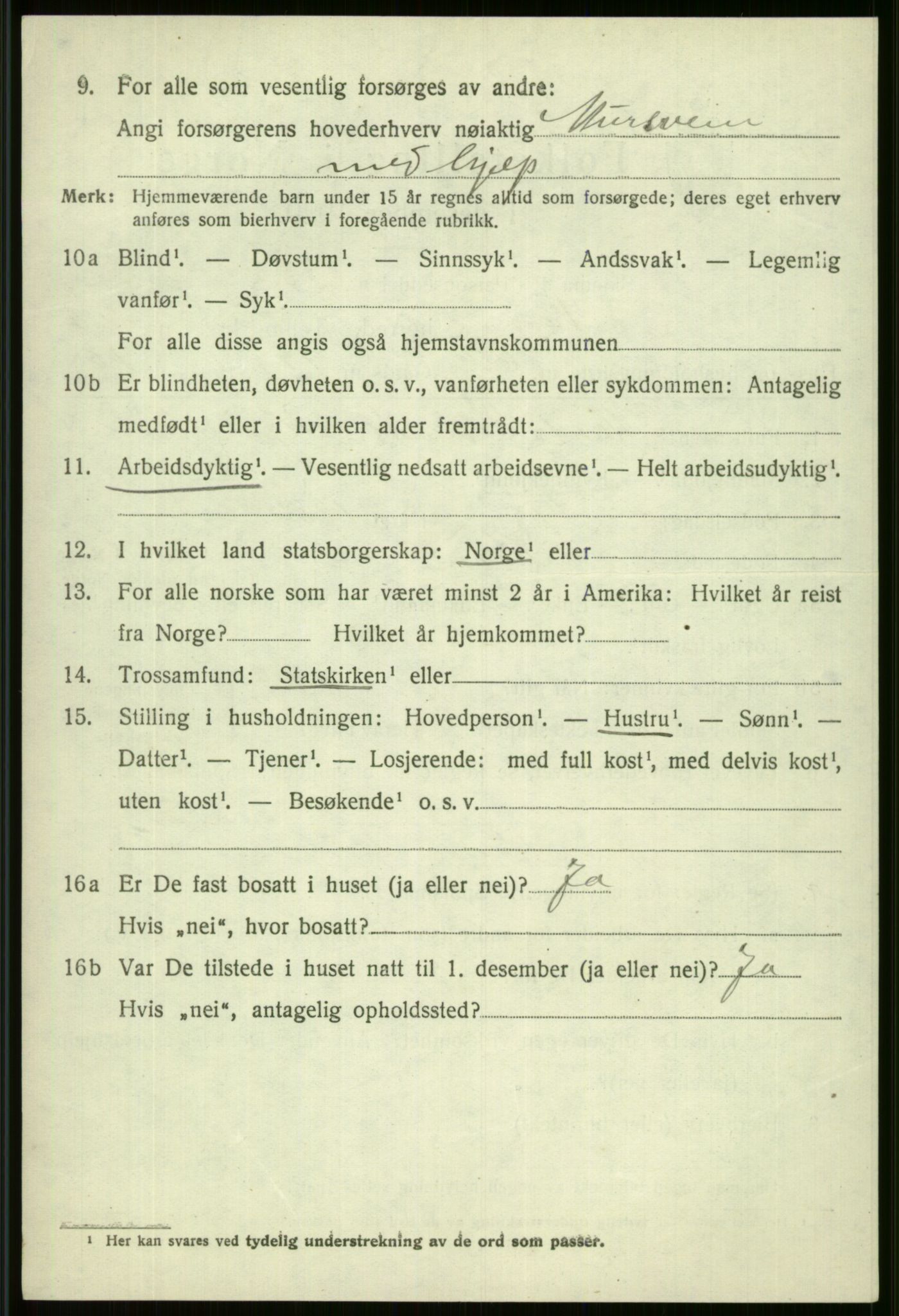 SAB, 1920 census for Voss, 1920, p. 17738