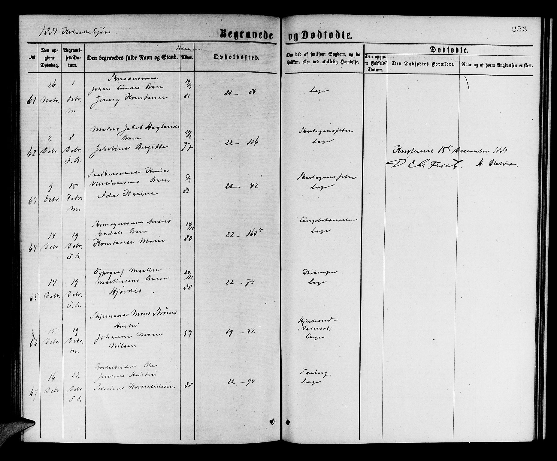 Korskirken sokneprestembete, AV/SAB-A-76101/H/Hab: Parish register (copy) no. E 3, 1871-1883, p. 253