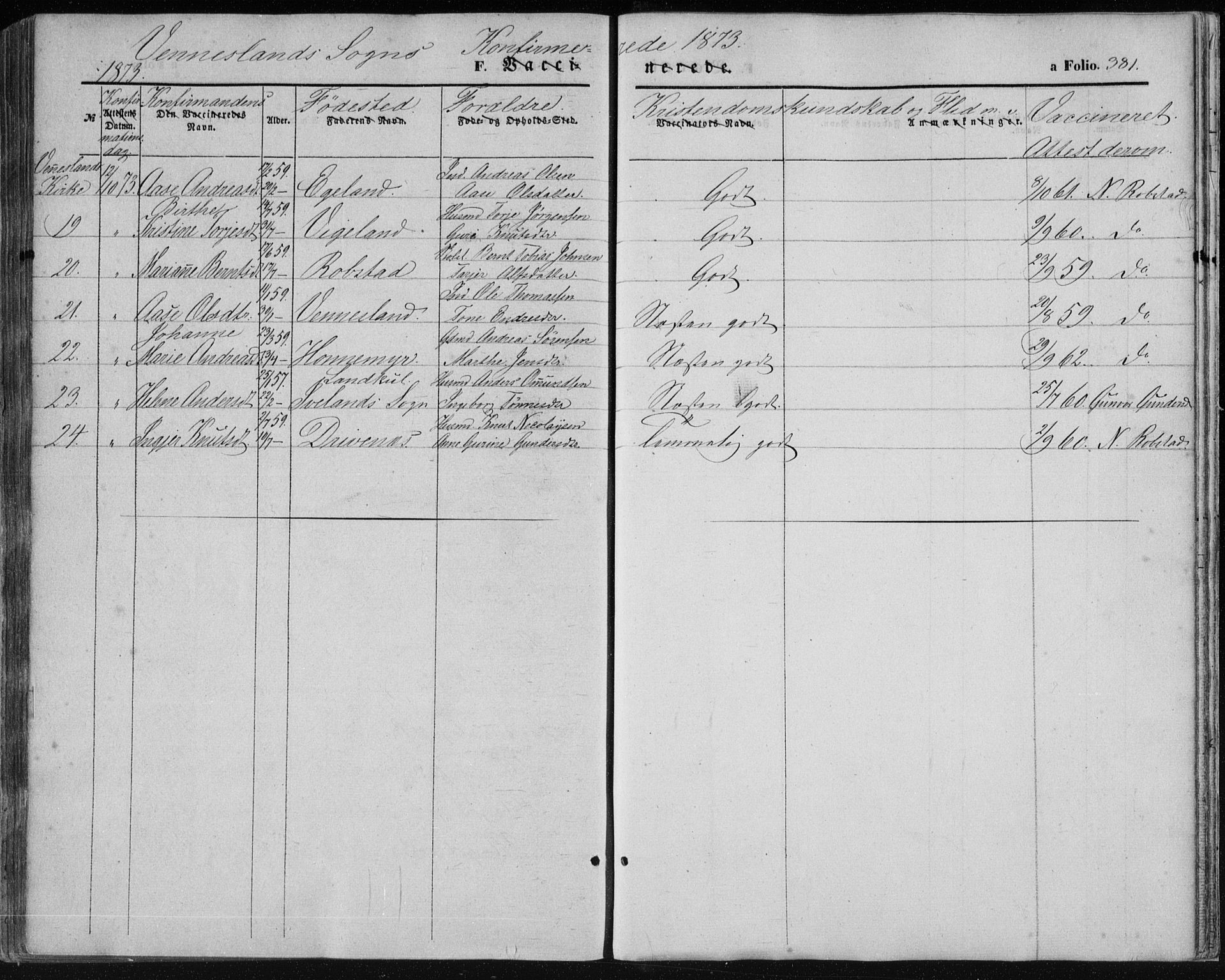 Vennesla sokneprestkontor, AV/SAK-1111-0045/Fa/Fac/L0007: Parish register (official) no. A 7, 1855-1873, p. 381