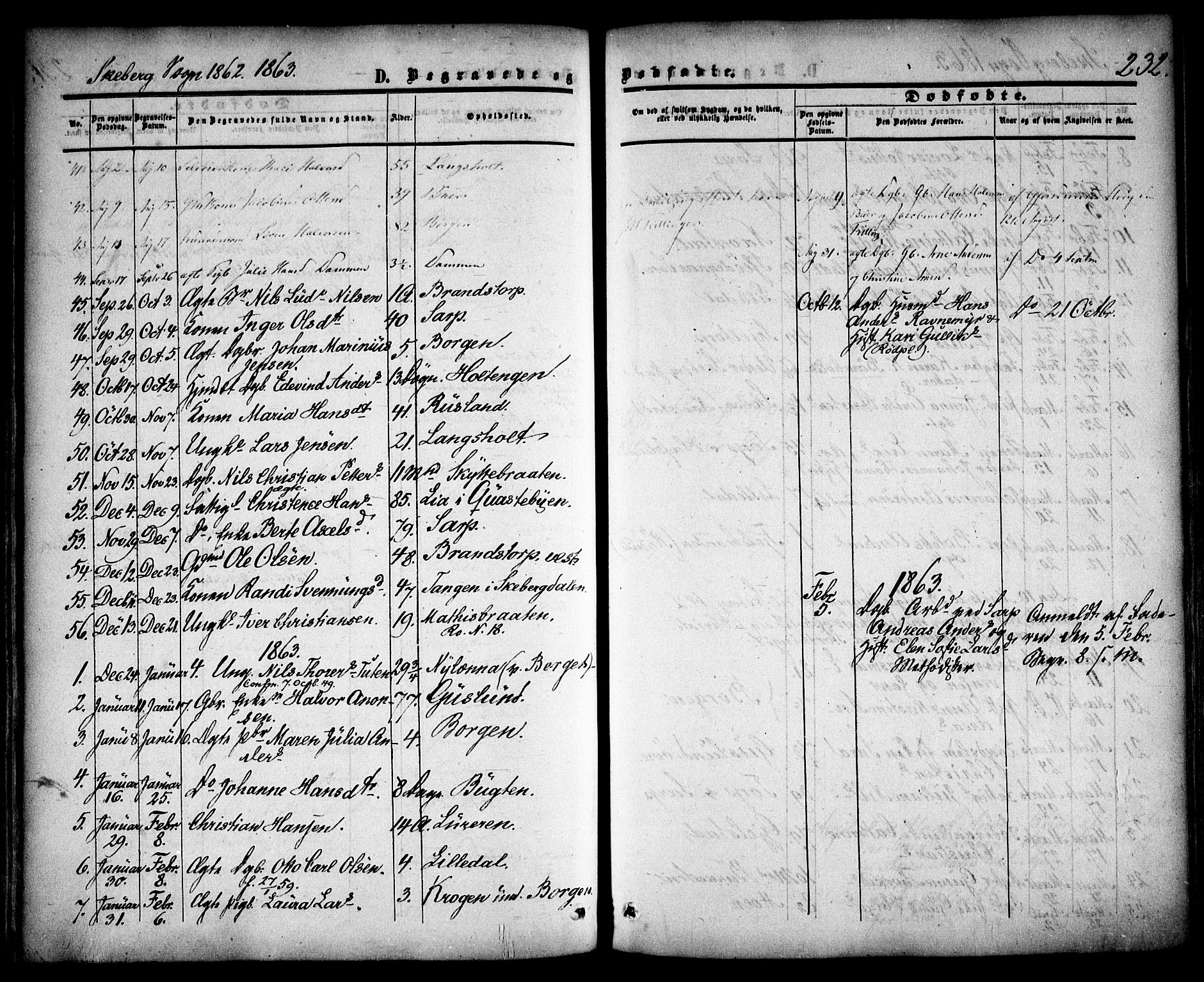Skjeberg prestekontor Kirkebøker, SAO/A-10923/F/Fa/L0007: Parish register (official) no. I 7, 1859-1868, p. 232