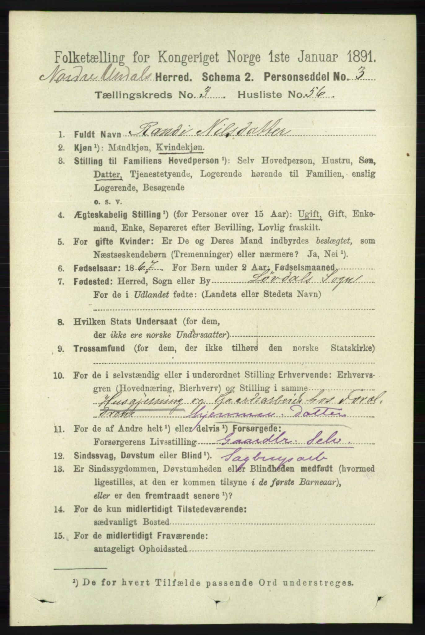 RA, 1891 census for 1028 Nord-Audnedal, 1891, p. 1019