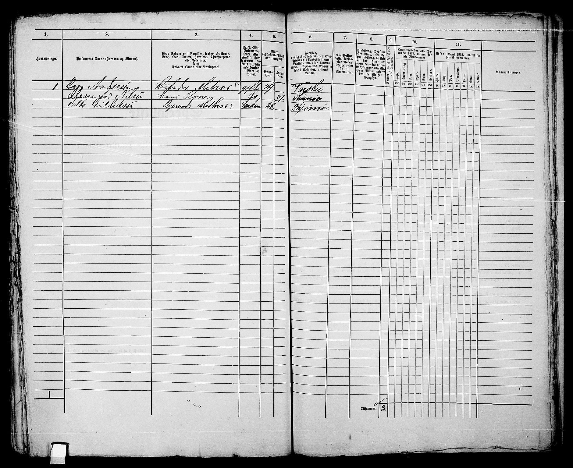 RA, 1865 census for Sarpsborg, 1865, p. 564