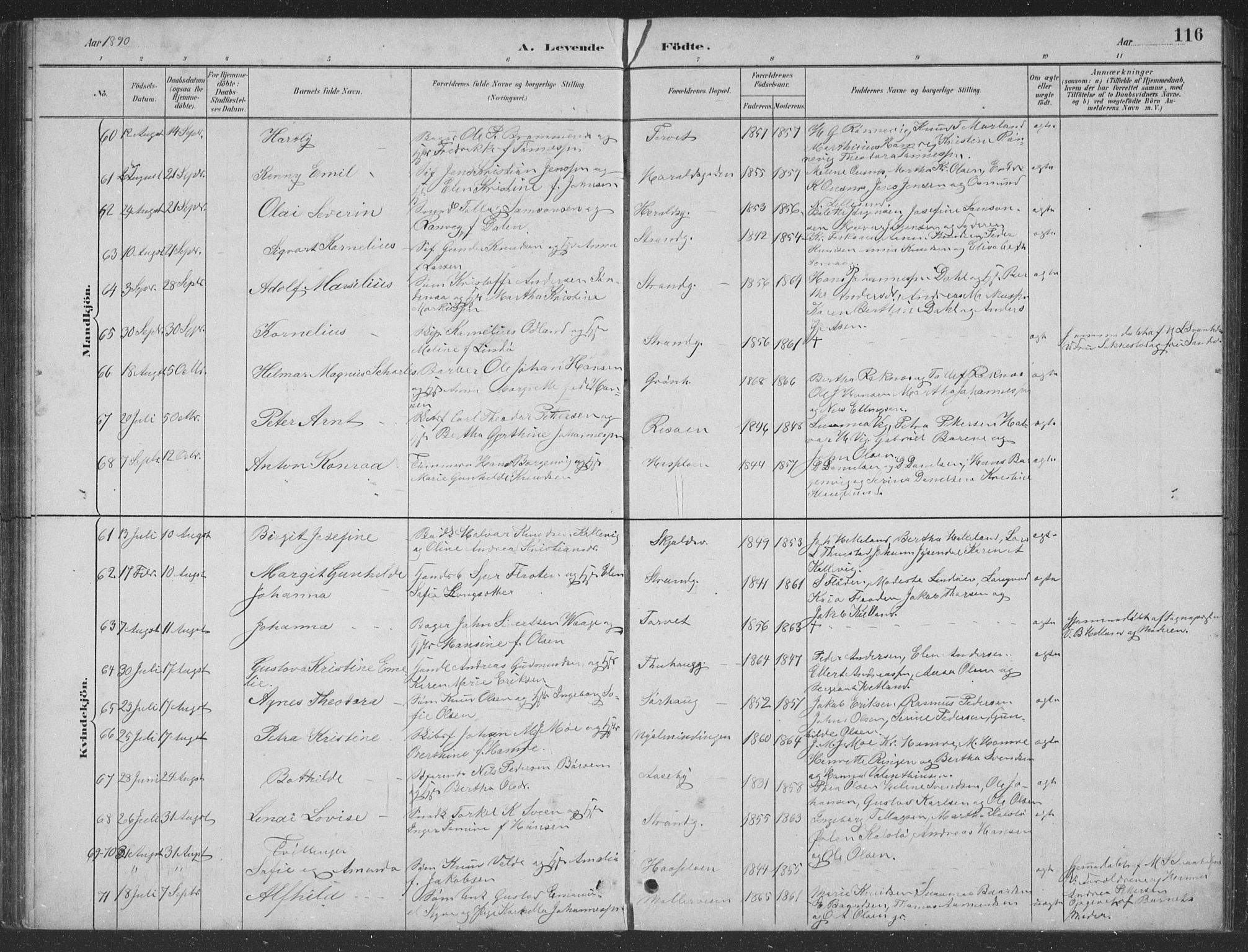 Haugesund sokneprestkontor, AV/SAST-A -101863/H/Ha/Hab/L0002: Parish register (copy) no. B 2, 1881-1894, p. 116