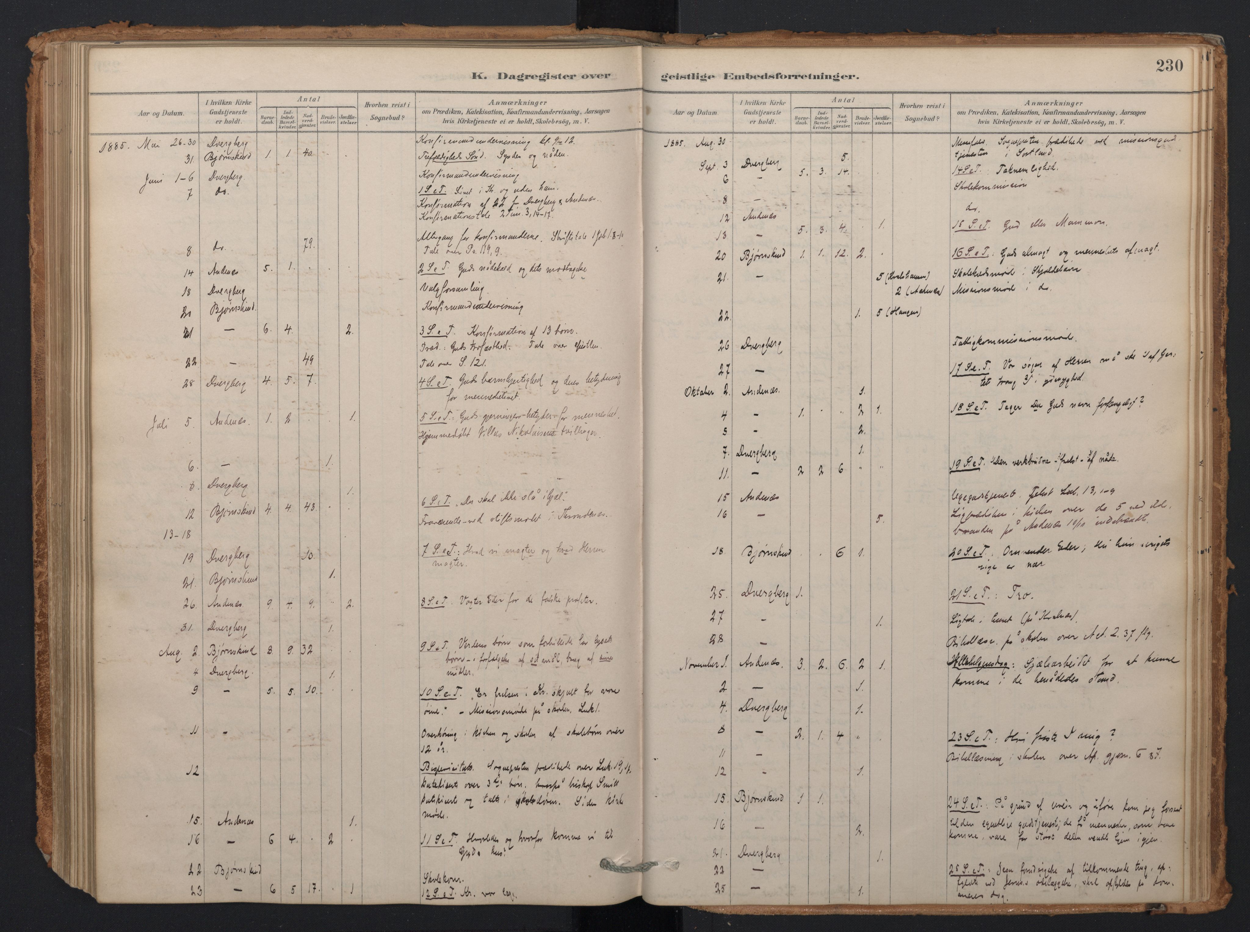 Ministerialprotokoller, klokkerbøker og fødselsregistre - Nordland, AV/SAT-A-1459/897/L1399: Parish register (official) no. 897A06, 1881-1896, p. 230