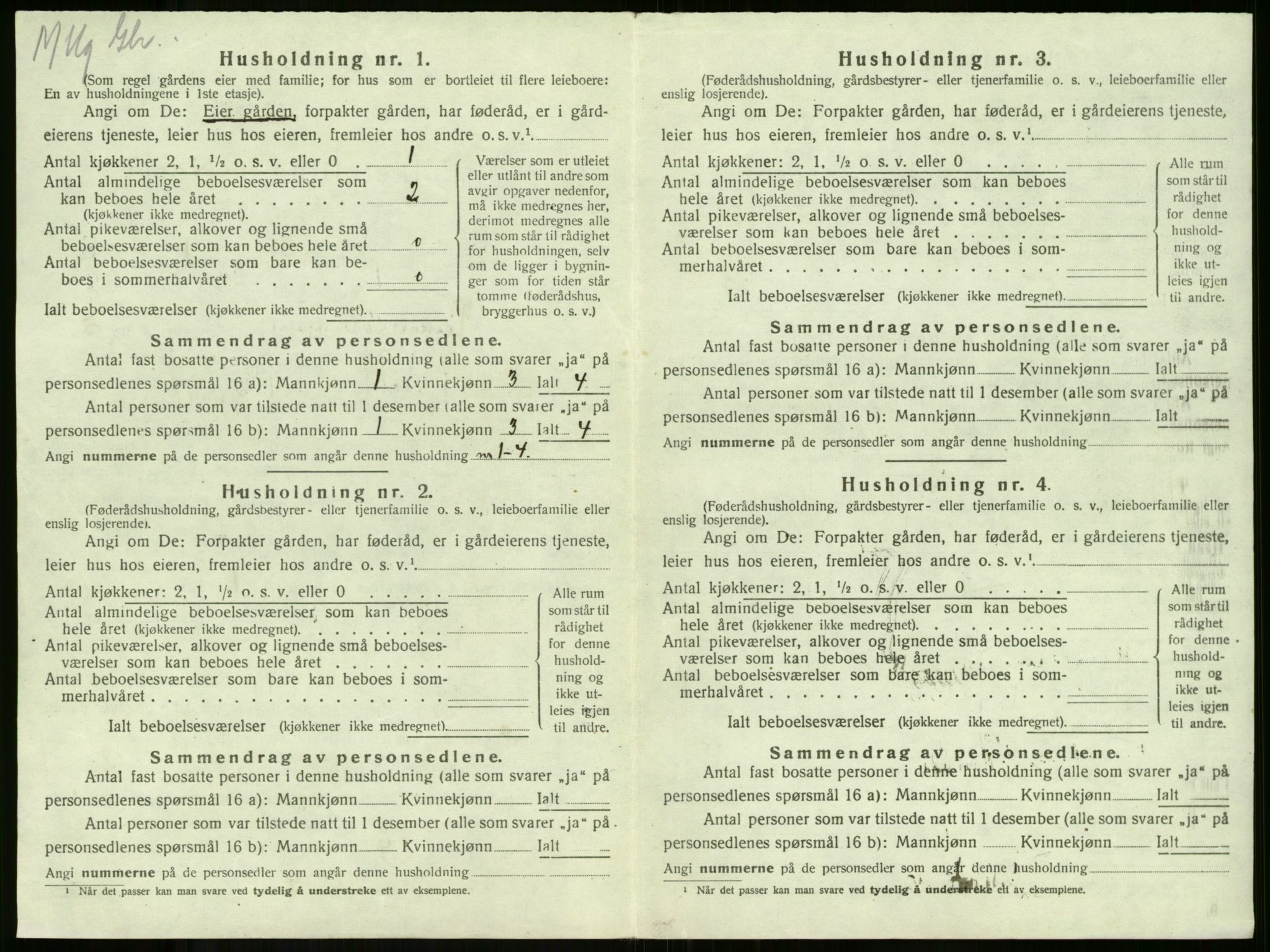 SAKO, 1920 census for Ramnes, 1920, p. 728