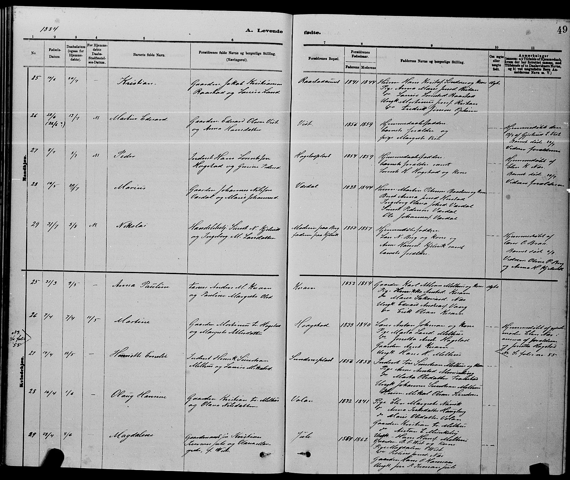 Ministerialprotokoller, klokkerbøker og fødselsregistre - Nord-Trøndelag, AV/SAT-A-1458/730/L0301: Parish register (copy) no. 730C04, 1880-1897, p. 49