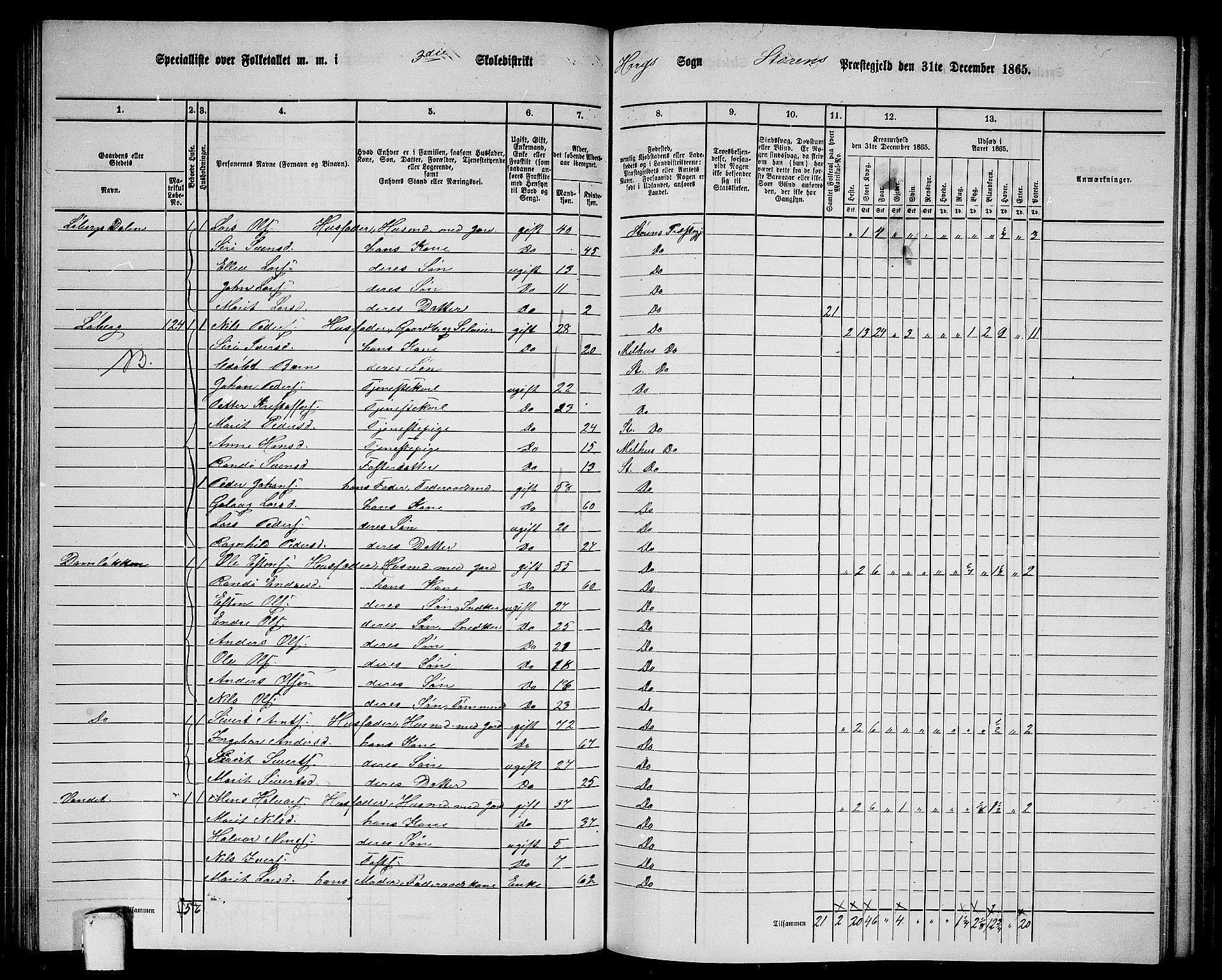 RA, 1865 census for Støren, 1865, p. 167