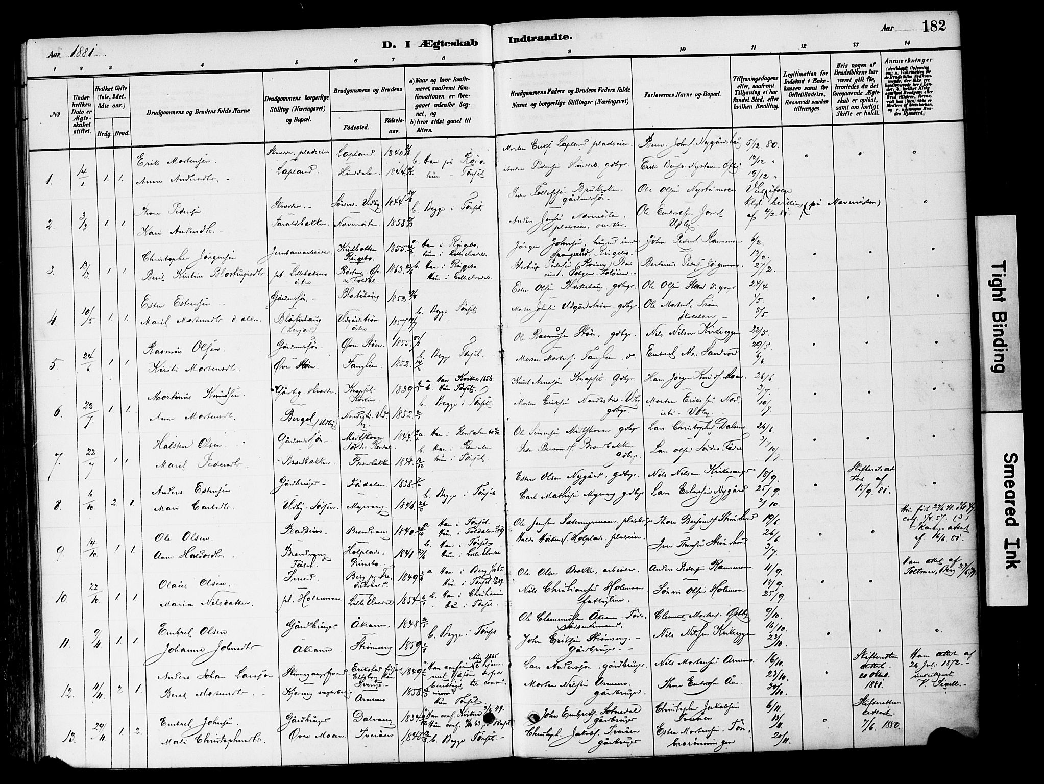 Tynset prestekontor, SAH/PREST-058/H/Ha/Haa/L0022: Parish register (official) no. 22, 1880-1899, p. 182
