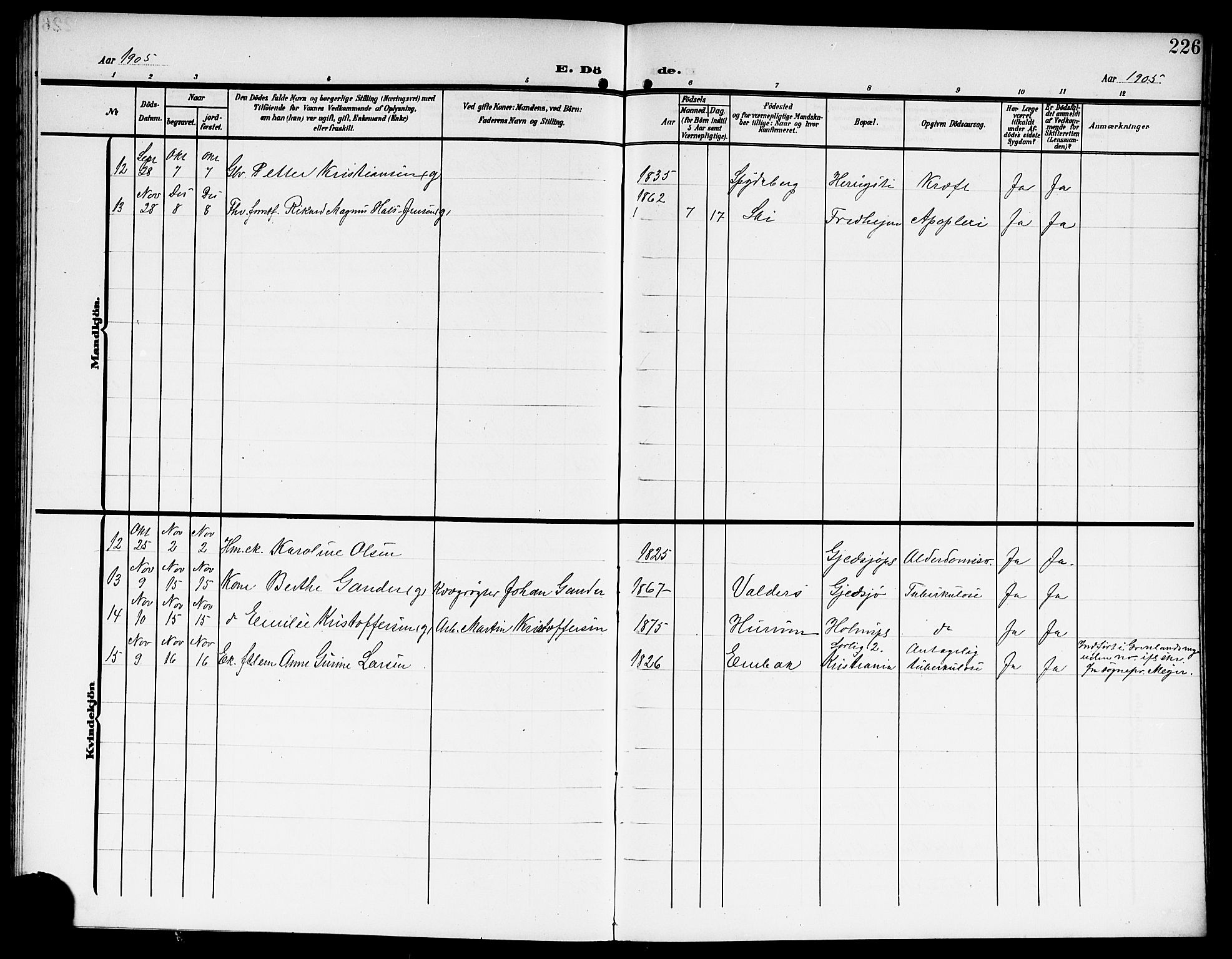 Kråkstad prestekontor Kirkebøker, AV/SAO-A-10125a/G/Gb/L0001: Parish register (copy) no. II 1, 1905-1920, p. 226