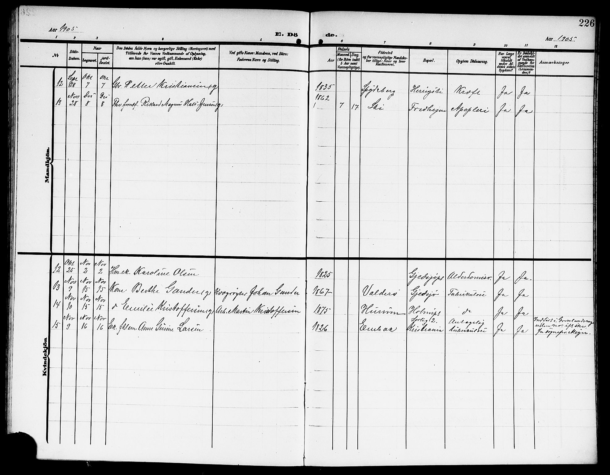 Kråkstad prestekontor Kirkebøker, AV/SAO-A-10125a/G/Gb/L0001: Parish register (copy) no. II 1, 1905-1920, p. 226