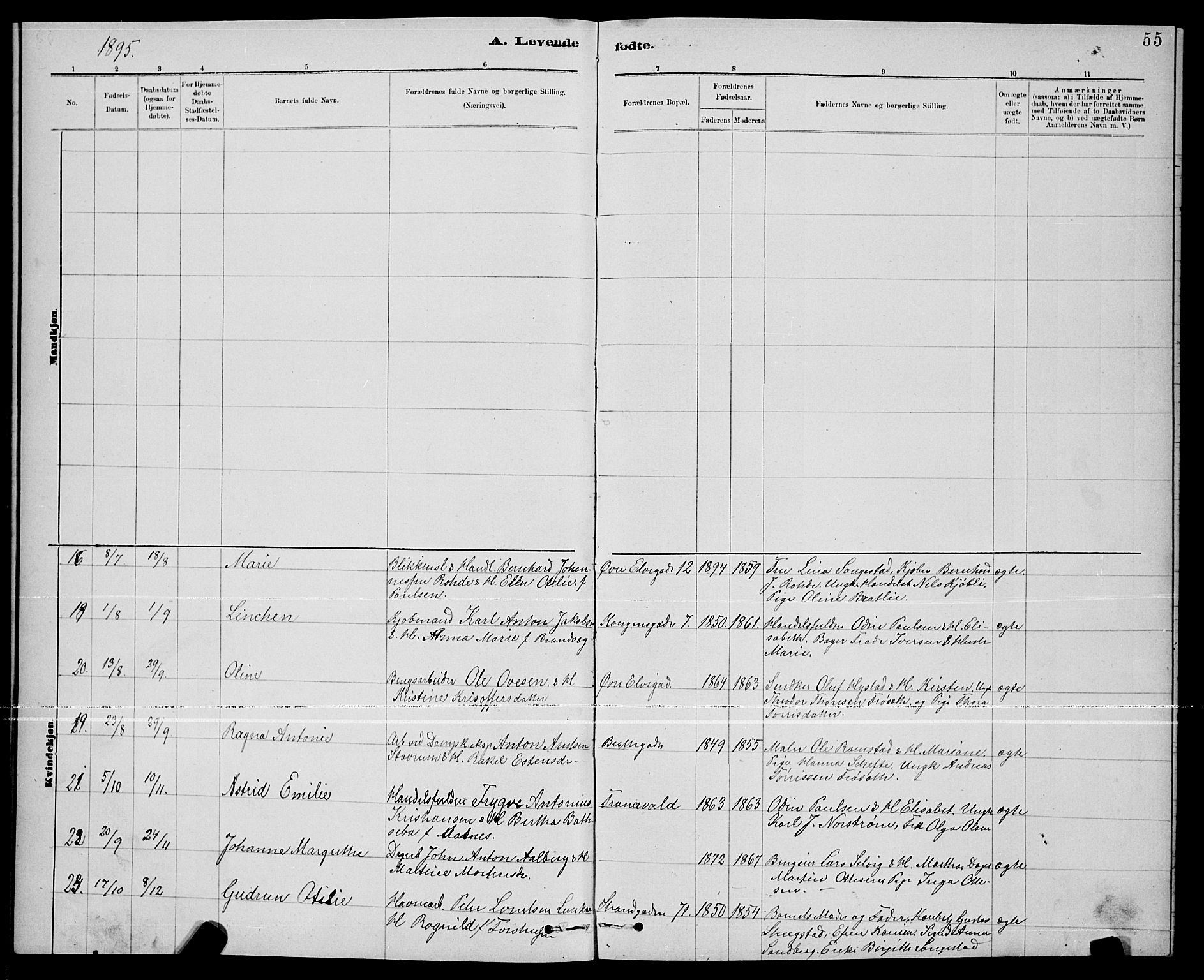 Ministerialprotokoller, klokkerbøker og fødselsregistre - Nord-Trøndelag, AV/SAT-A-1458/739/L0374: Parish register (copy) no. 739C02, 1883-1898, p. 55