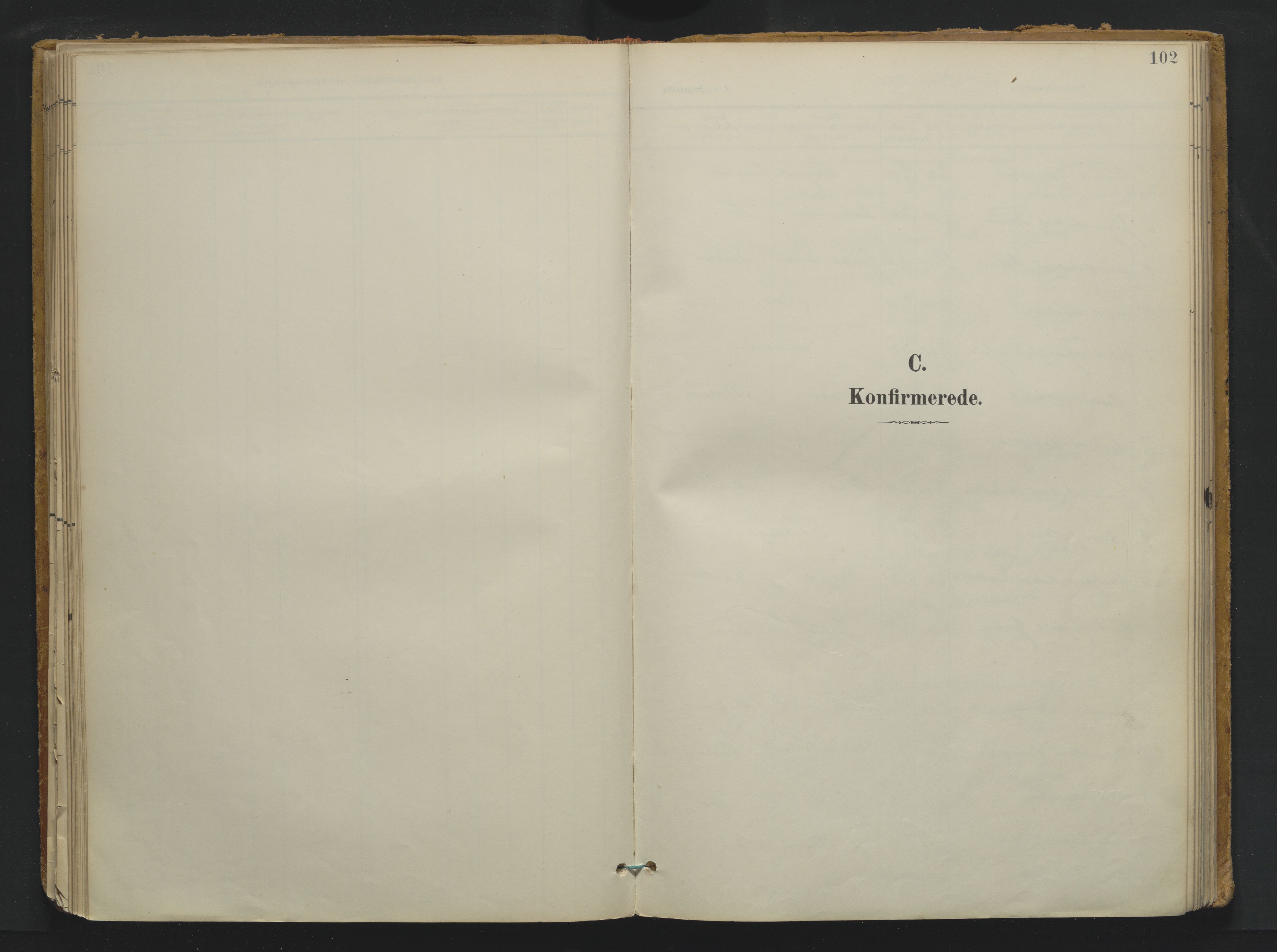 Drangedal kirkebøker, SAKO/A-258/F/Fa/L0013: Parish register (official) no. 13, 1895-1919, p. 102
