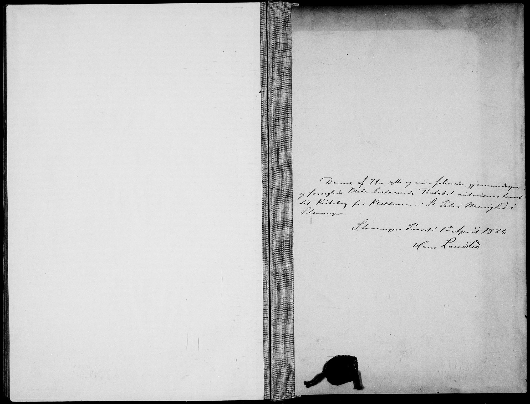 St. Petri sokneprestkontor, AV/SAST-A-101813/001/30/30BB/L0005: Parish register (copy) no. B 5, 1878-1895