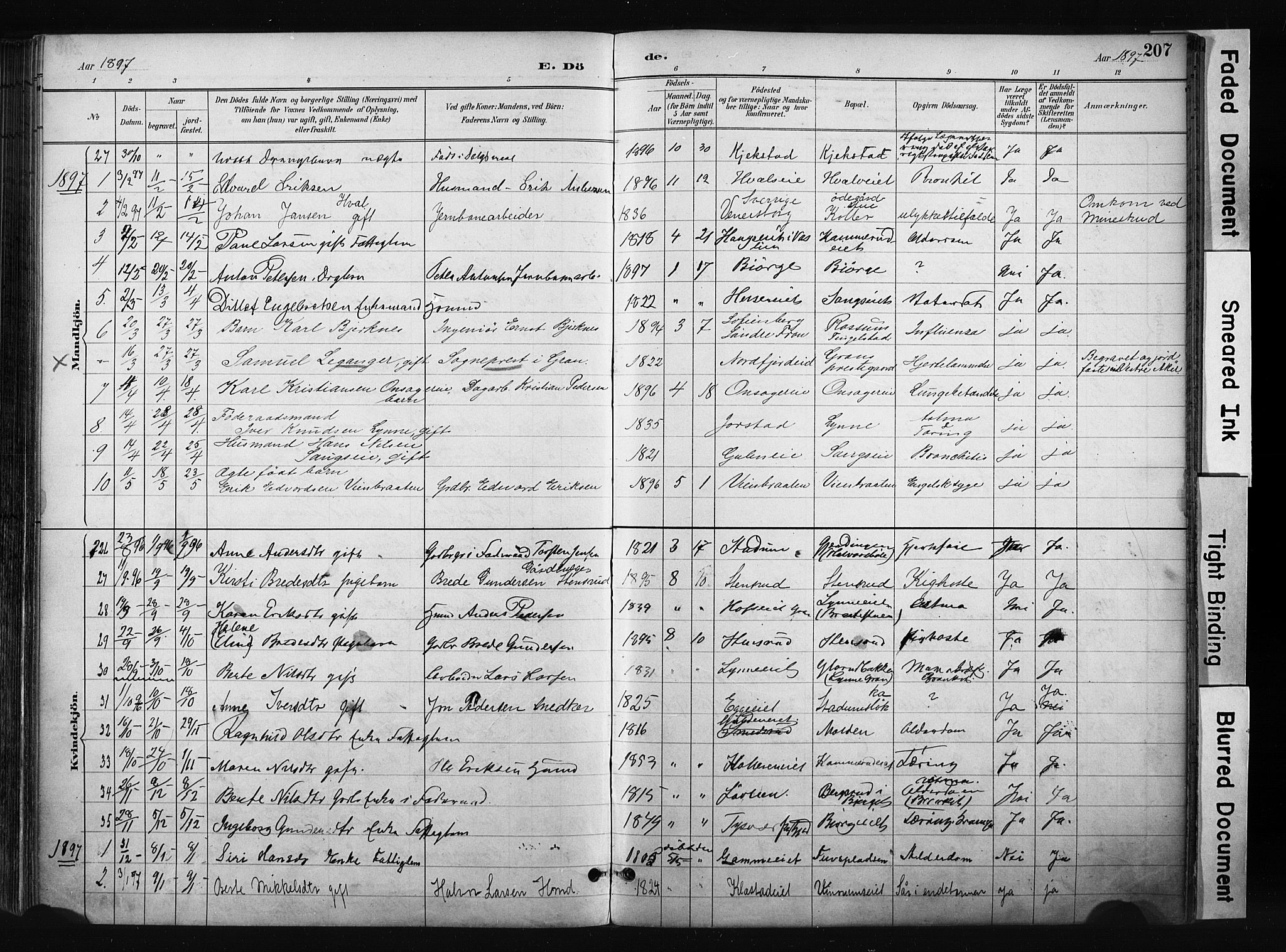 Gran prestekontor, SAH/PREST-112/H/Ha/Haa/L0017: Parish register (official) no. 17, 1889-1897, p. 207