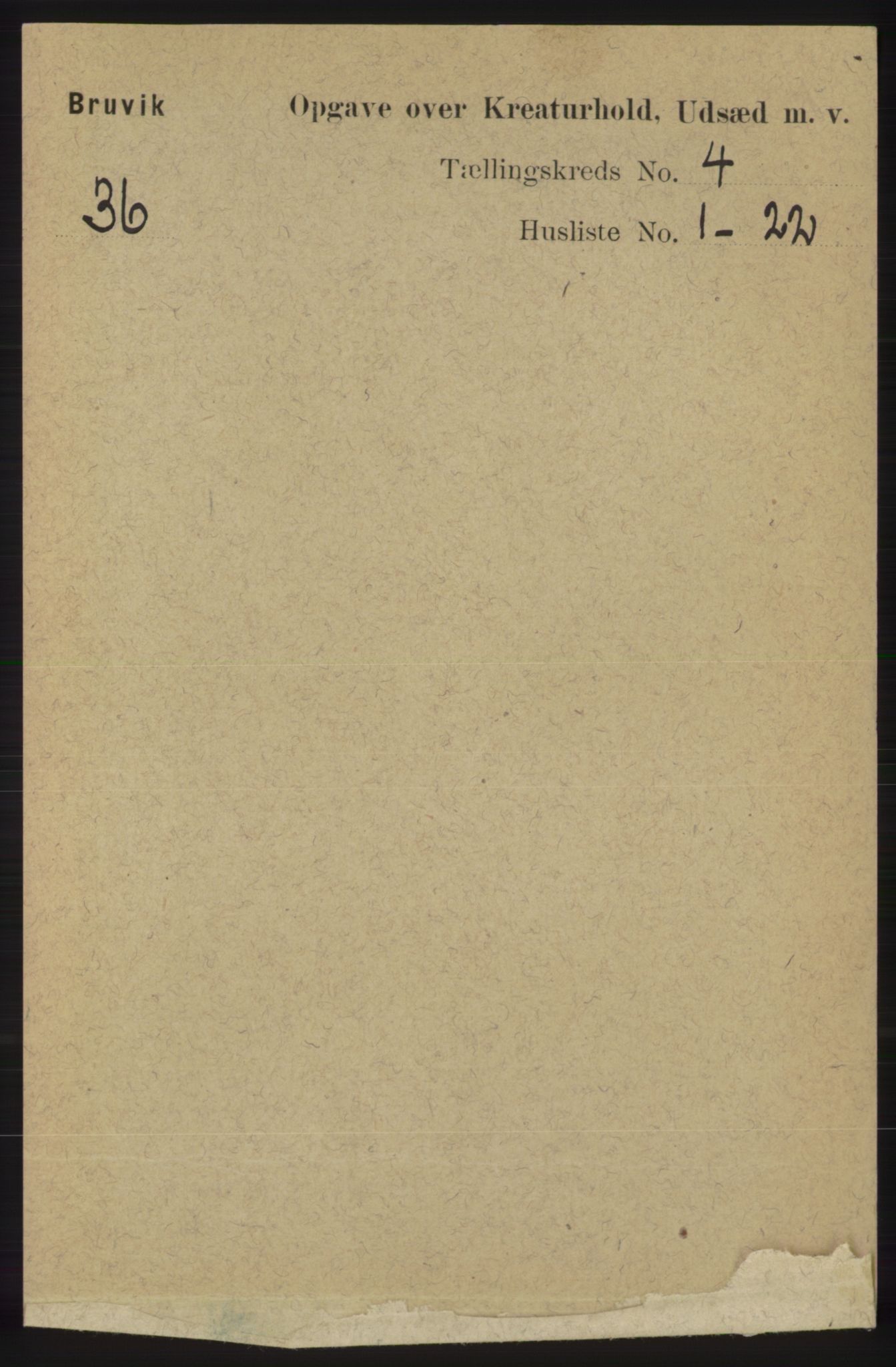 RA, 1891 census for 1251 Bruvik, 1891, p. 4393