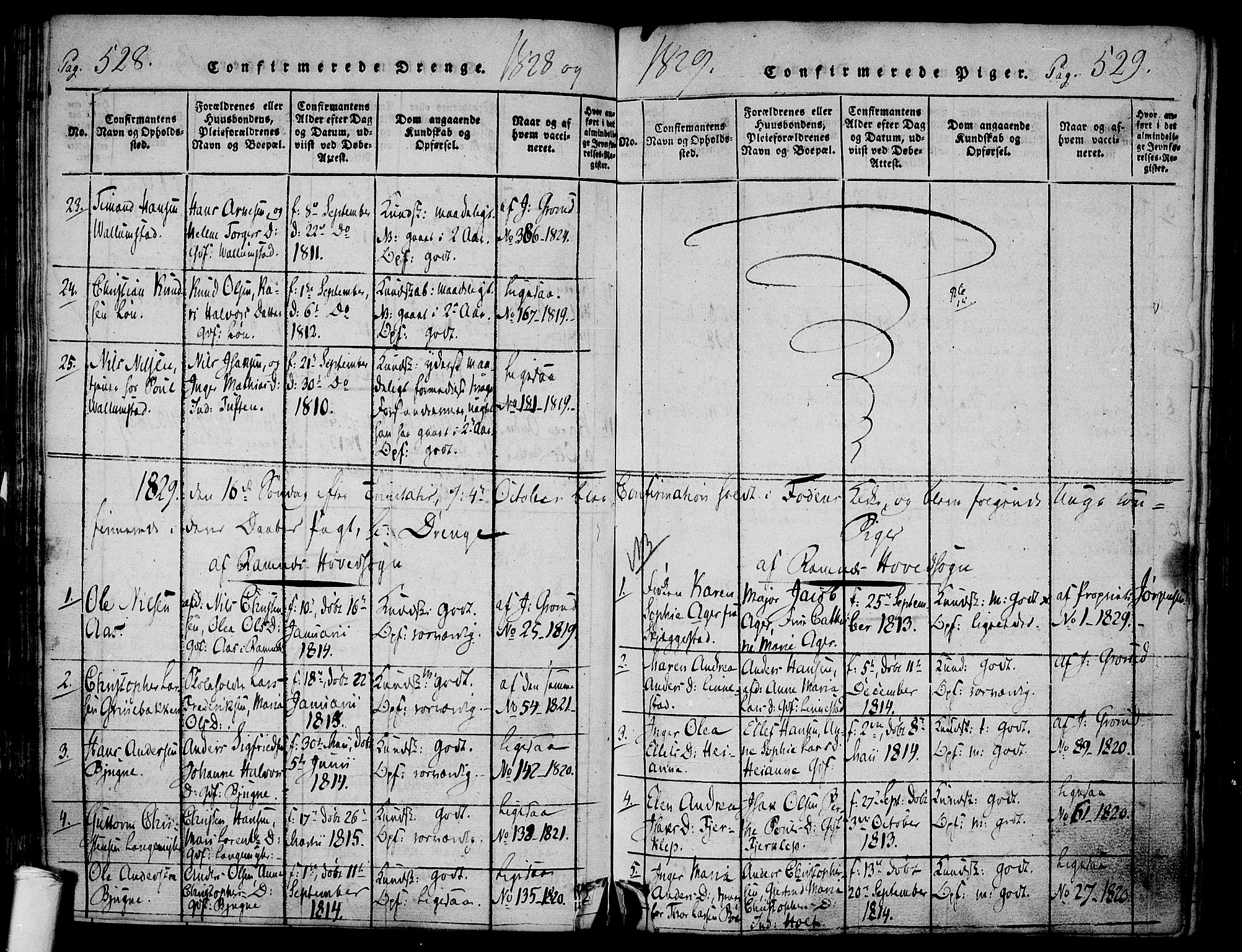 Ramnes kirkebøker, AV/SAKO-A-314/F/Fa/L0004: Parish register (official) no. I 4, 1813-1840, p. 528-529