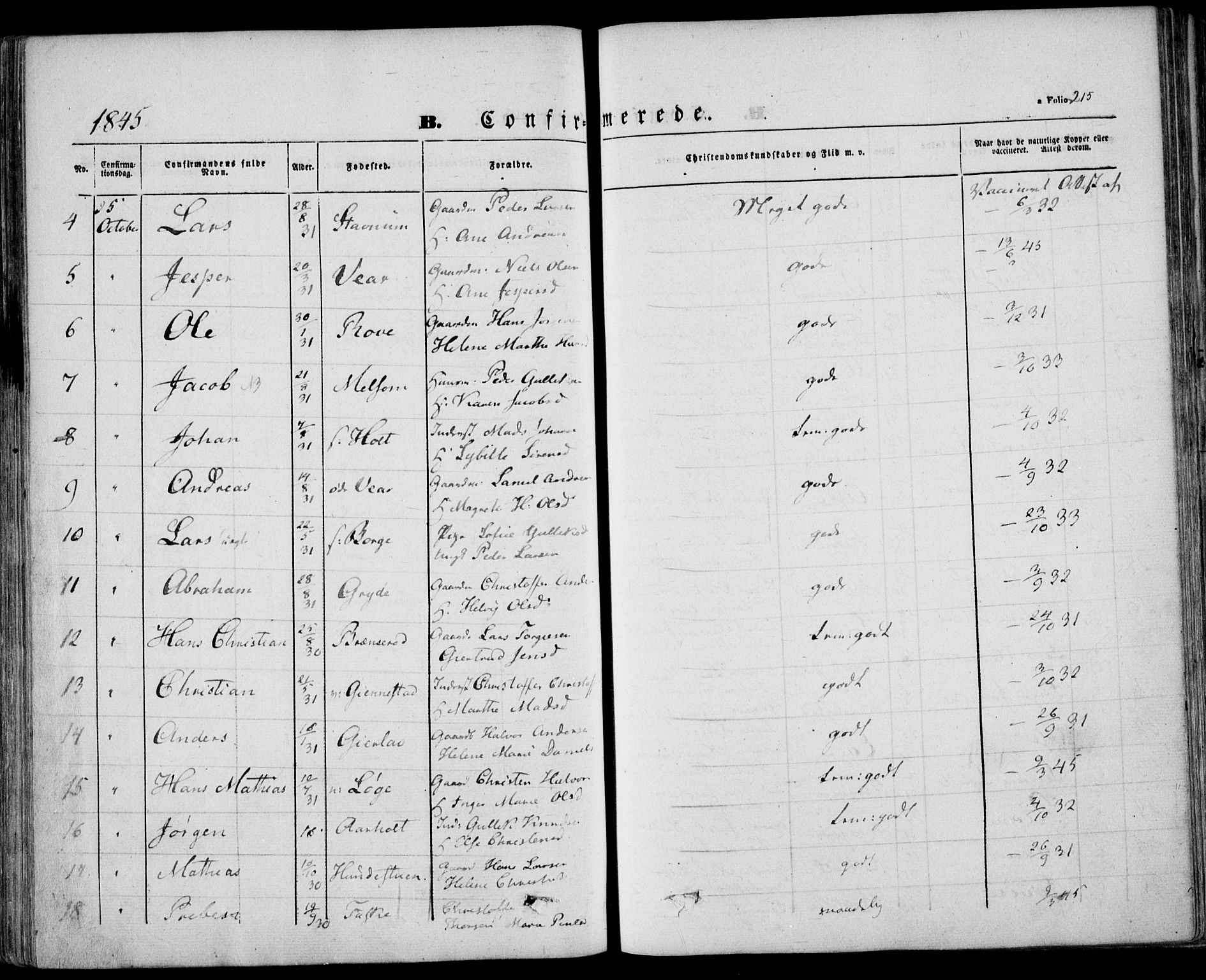 Stokke kirkebøker, AV/SAKO-A-320/F/Fa/L0007: Parish register (official) no. I 7, 1844-1857, p. 215