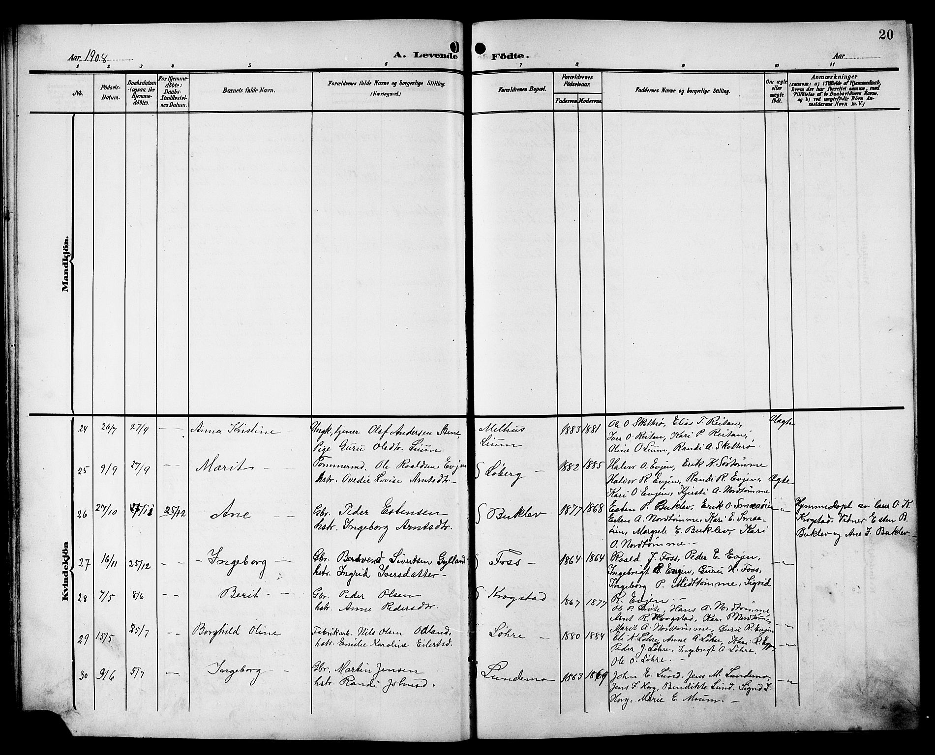 Ministerialprotokoller, klokkerbøker og fødselsregistre - Sør-Trøndelag, SAT/A-1456/692/L1112: Parish register (copy) no. 692C07, 1904-1918, p. 20
