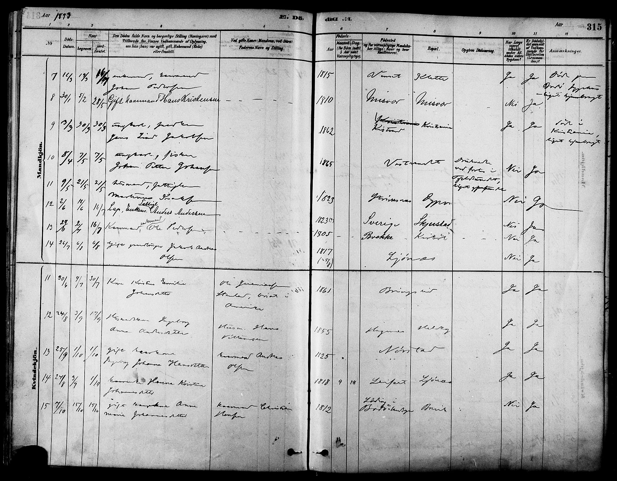 Ministerialprotokoller, klokkerbøker og fødselsregistre - Nordland, AV/SAT-A-1459/852/L0740: Parish register (official) no. 852A10, 1878-1894, p. 315