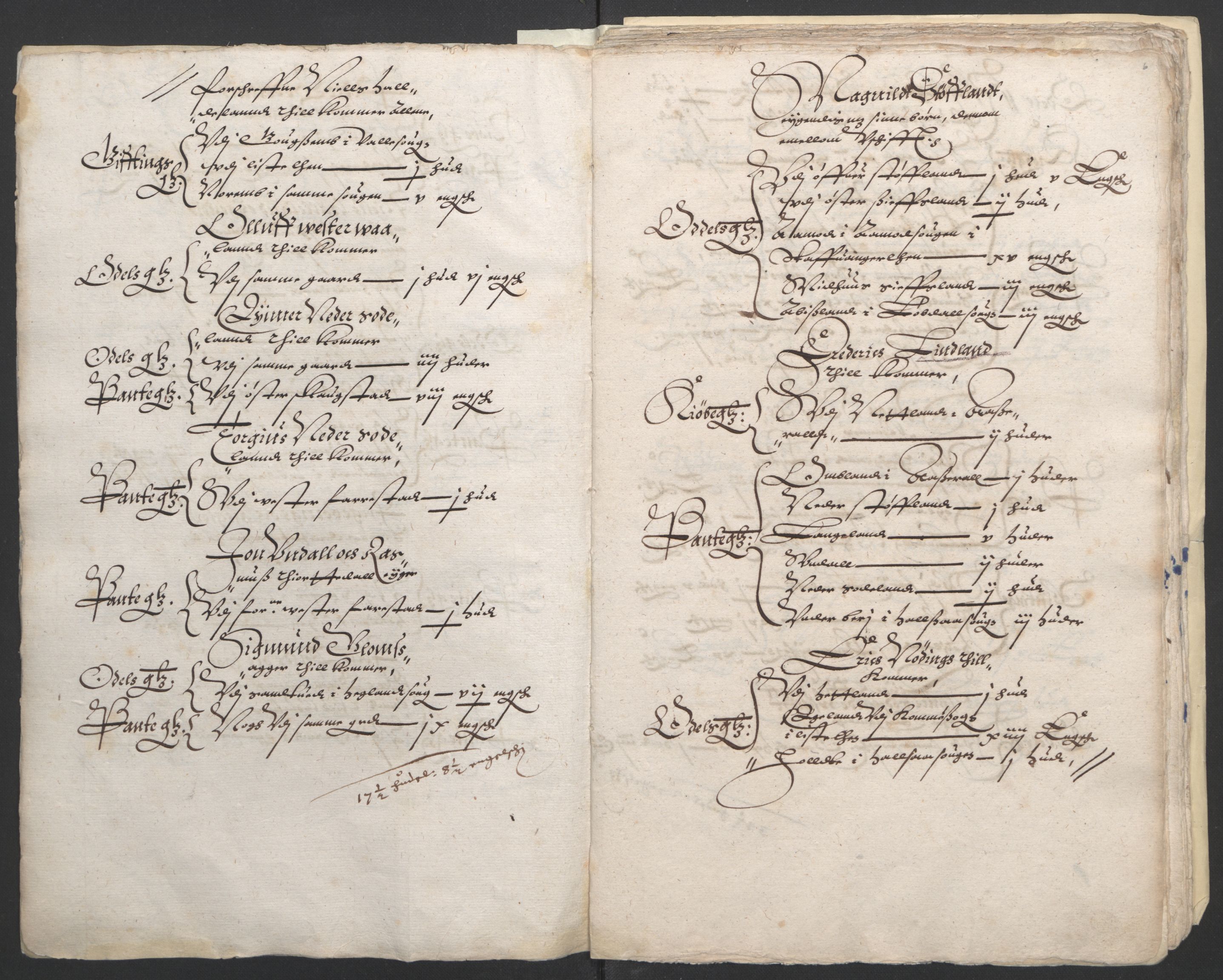 Stattholderembetet 1572-1771, AV/RA-EA-2870/Ek/L0010/0001: Jordebøker til utlikning av rosstjeneste 1624-1626: / Odelsjordebøker for Agdesiden len, 1624, p. 102