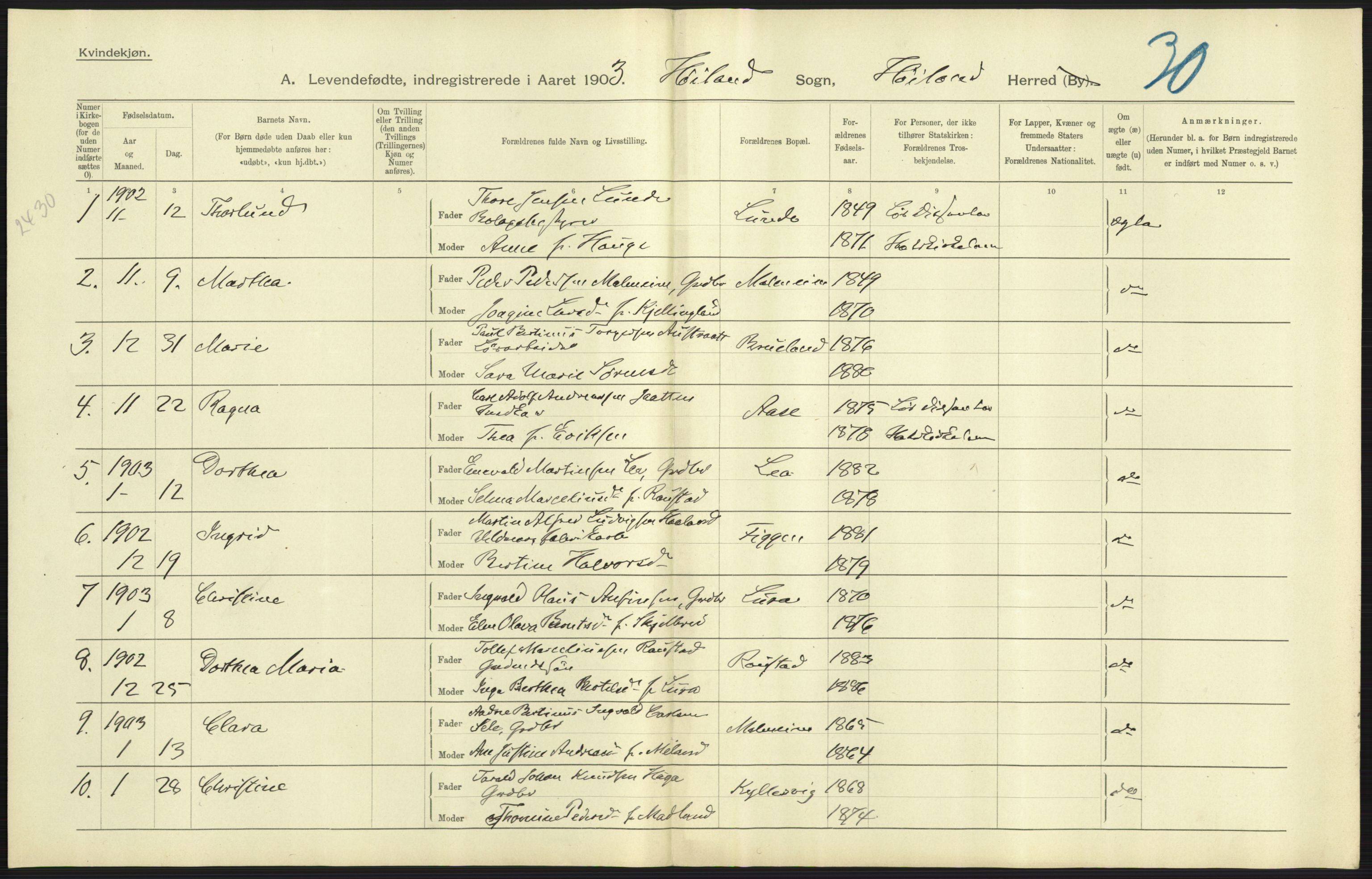 Statistisk sentralbyrå, Sosiodemografiske emner, Befolkning, AV/RA-S-2228/D/Df/Dfa/Dfaa/L0012: Stavanger amt: Fødte, gifte, døde, 1903, p. 15