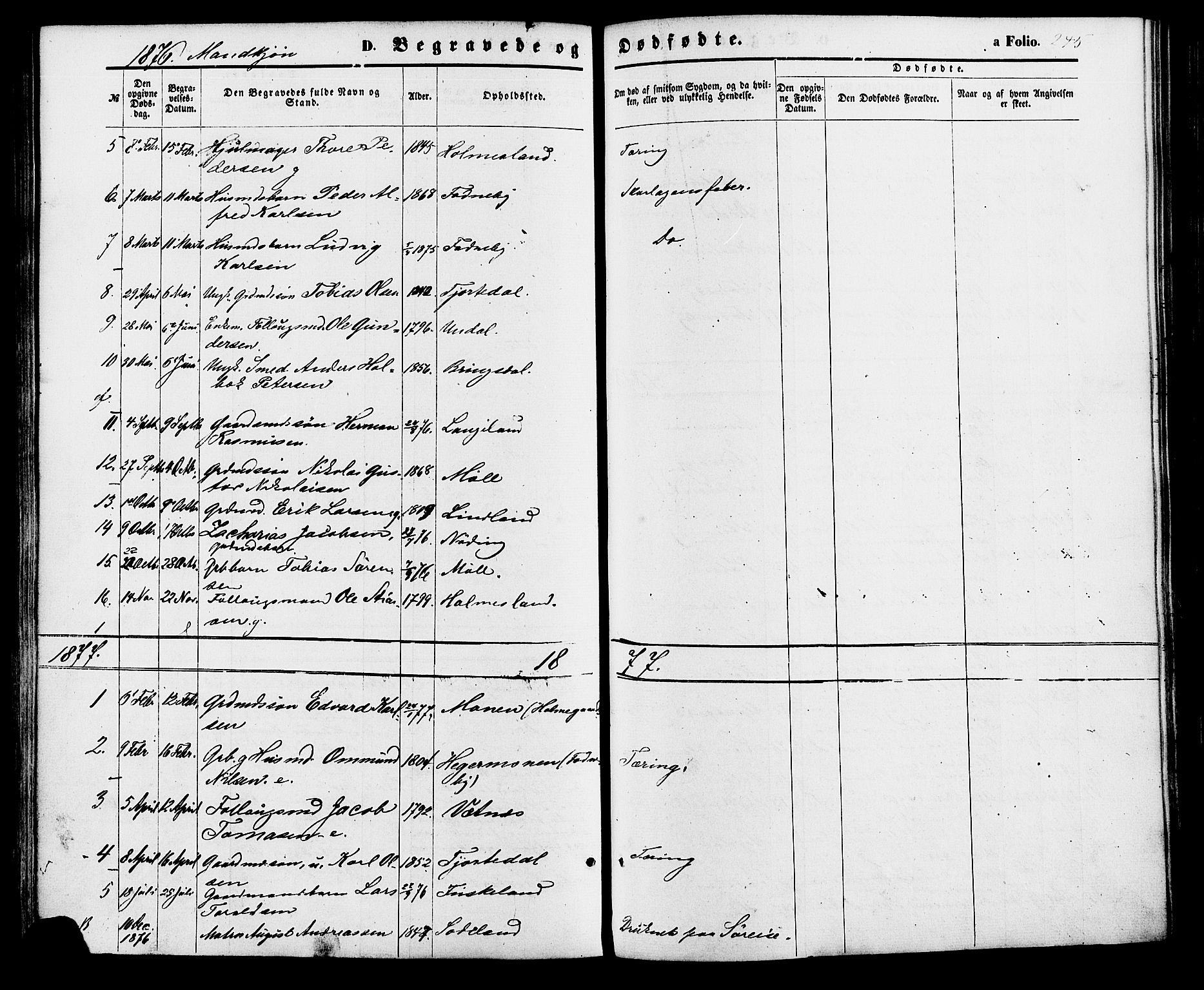 Holum sokneprestkontor, AV/SAK-1111-0022/F/Fa/Faa/L0006: Parish register (official) no. A 6, 1865-1883, p. 246