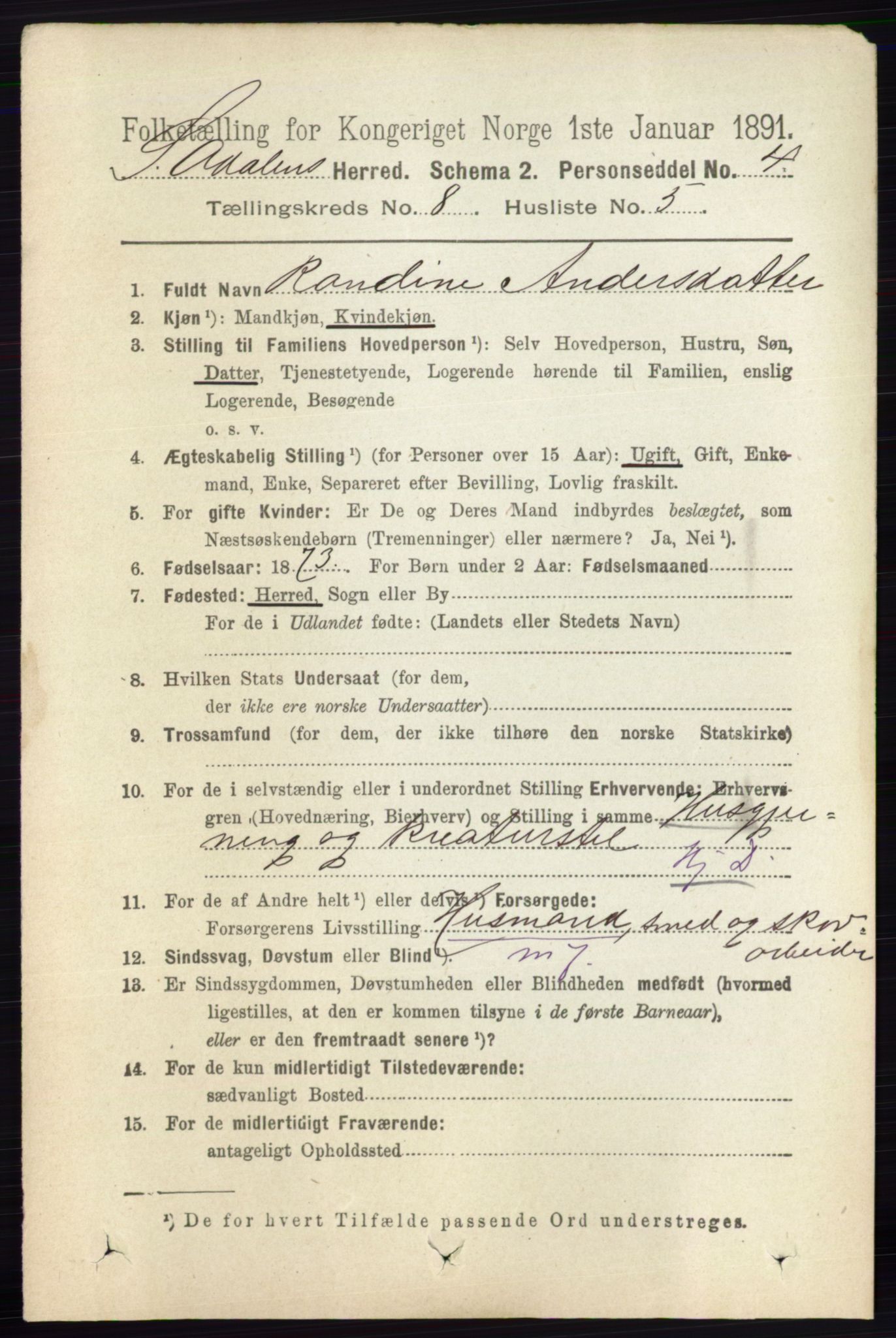 RA, 1891 census for 0419 Sør-Odal, 1891, p. 3998