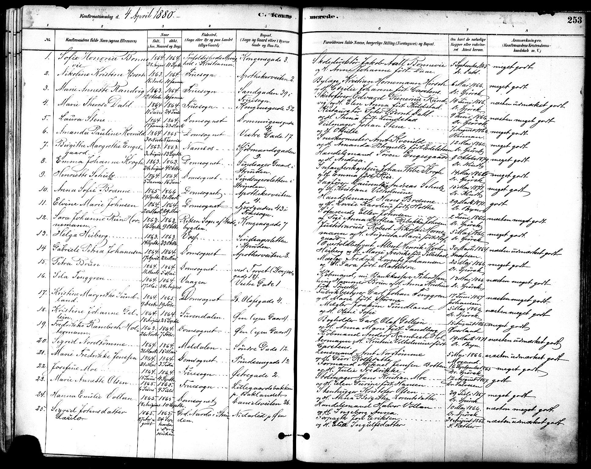 Ministerialprotokoller, klokkerbøker og fødselsregistre - Sør-Trøndelag, SAT/A-1456/601/L0057: Parish register (official) no. 601A25, 1877-1891, p. 253