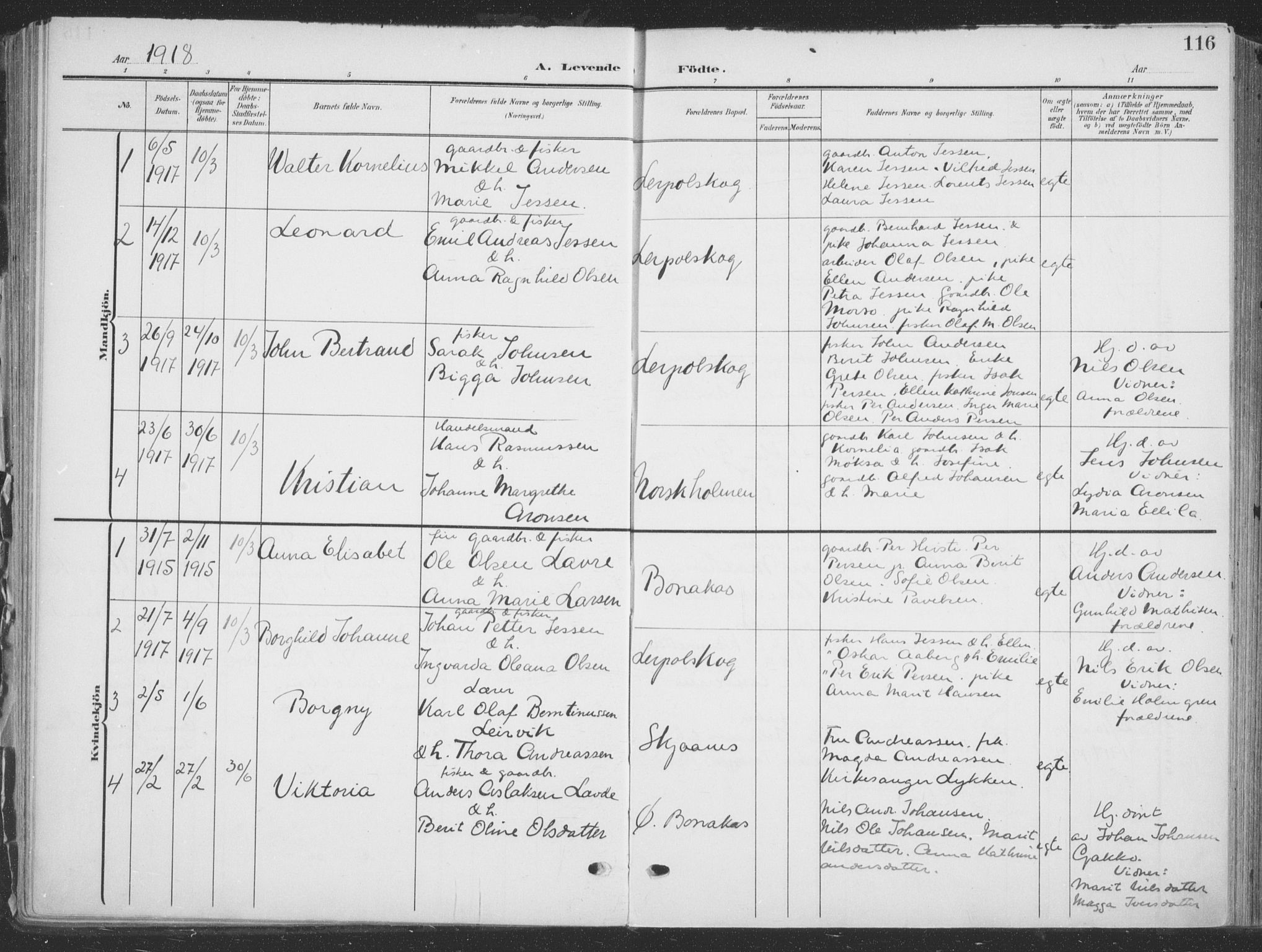 Tana sokneprestkontor, SATØ/S-1334/H/Ha/L0007kirke: Parish register (official) no. 7, 1904-1918, p. 116