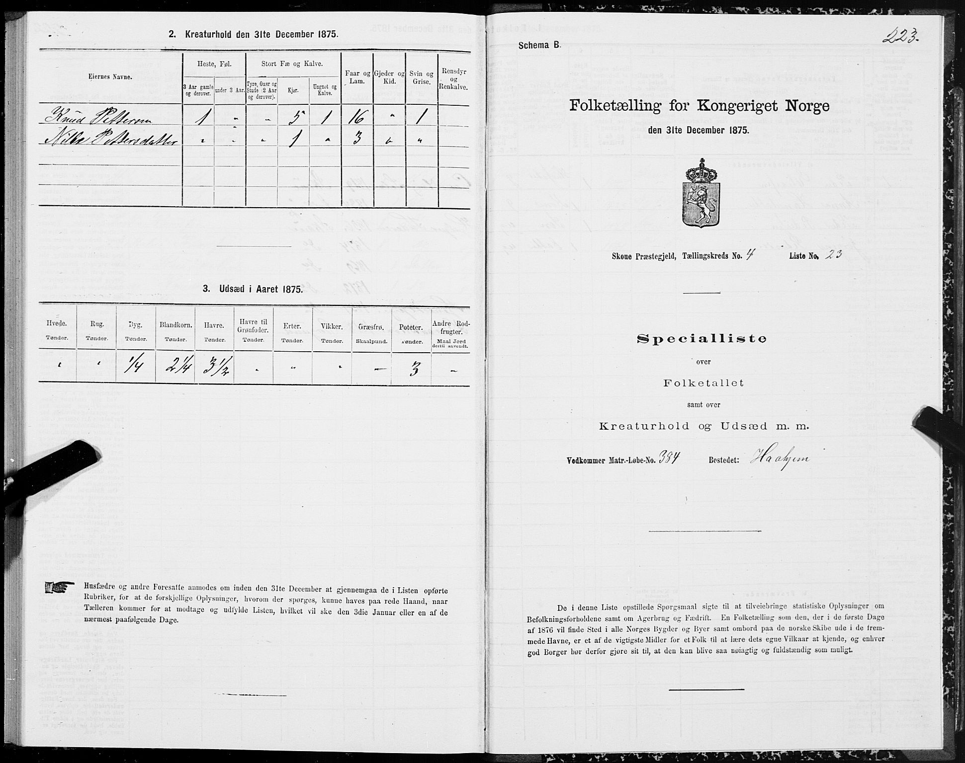 SAT, 1875 census for 1529P Skodje, 1875, p. 1223