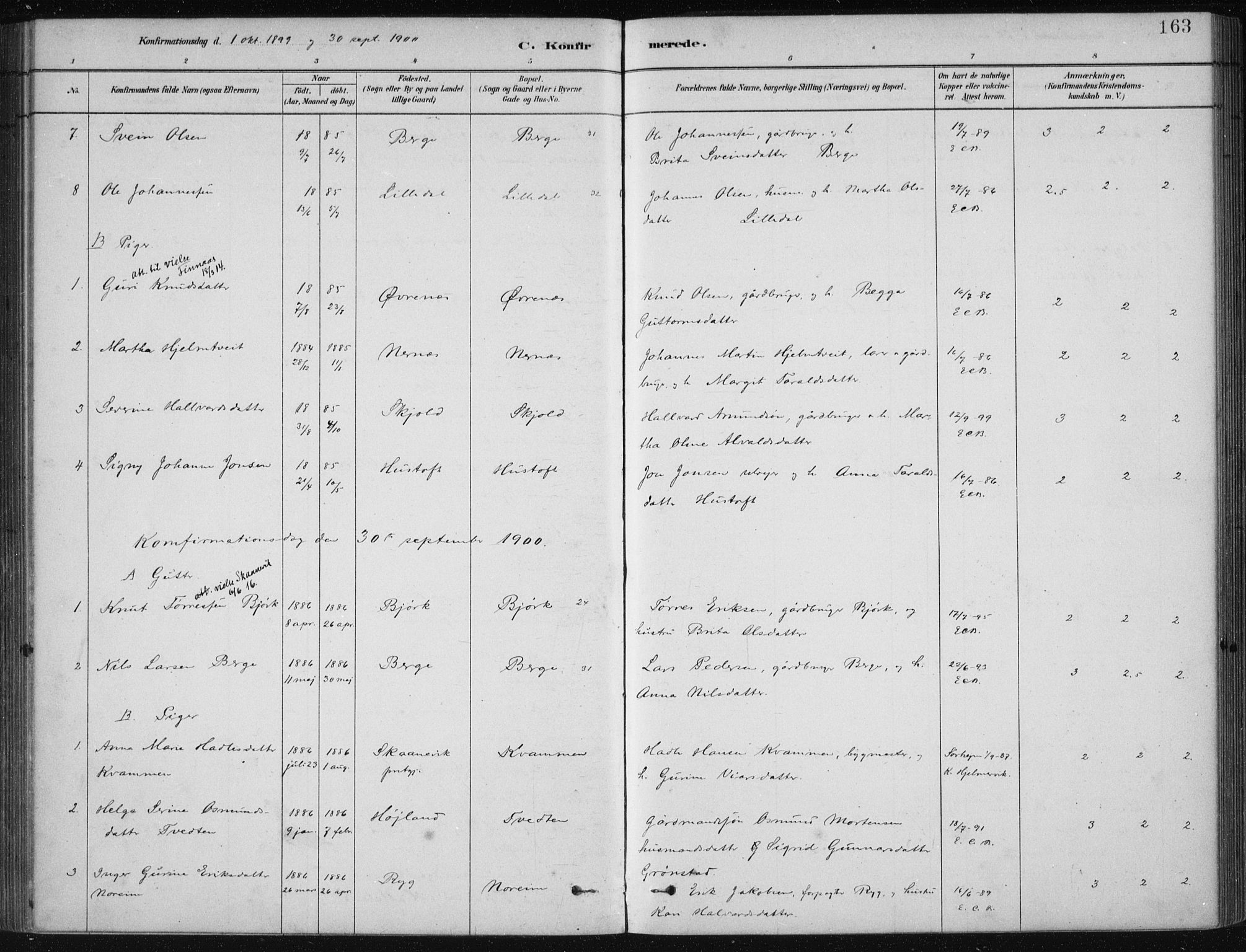 Etne sokneprestembete, SAB/A-75001/H/Haa: Parish register (official) no. D  1, 1879-1919, p. 163