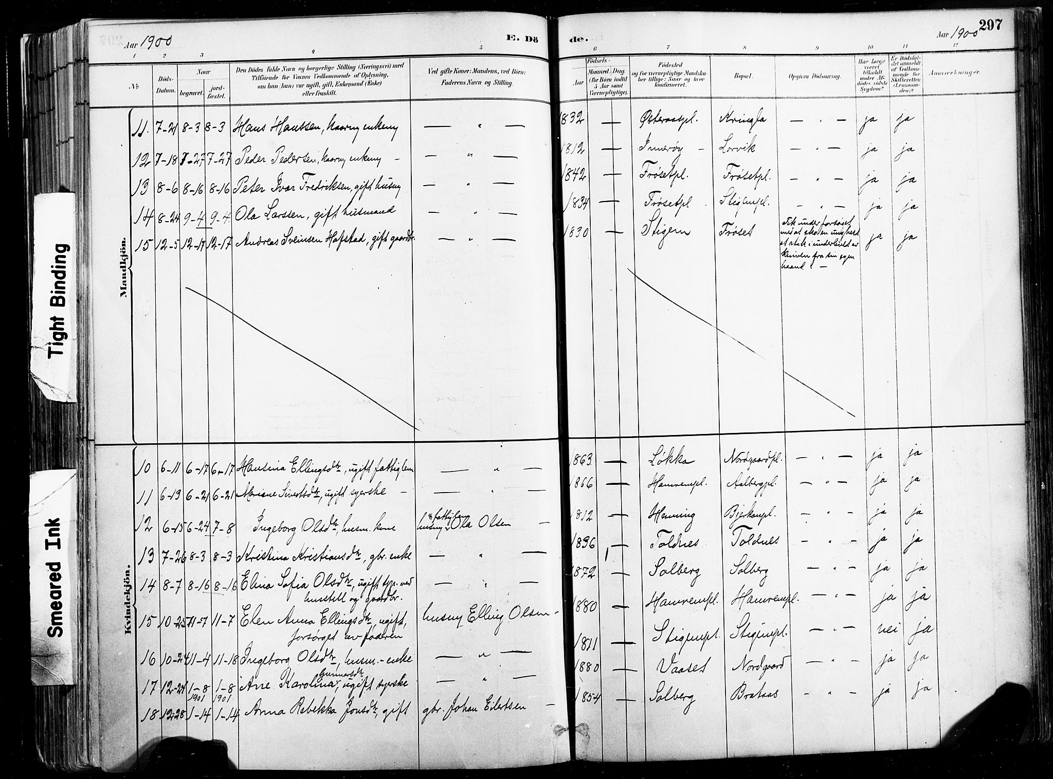Ministerialprotokoller, klokkerbøker og fødselsregistre - Nord-Trøndelag, SAT/A-1458/735/L0351: Parish register (official) no. 735A10, 1884-1908, p. 297