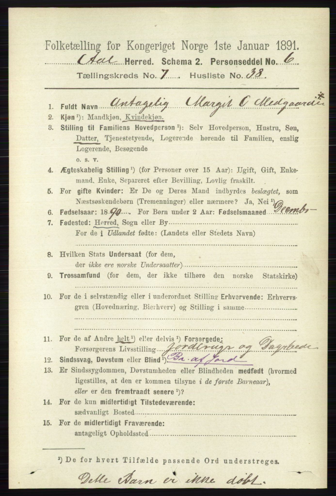 RA, 1891 census for 0619 Ål, 1891, p. 1995