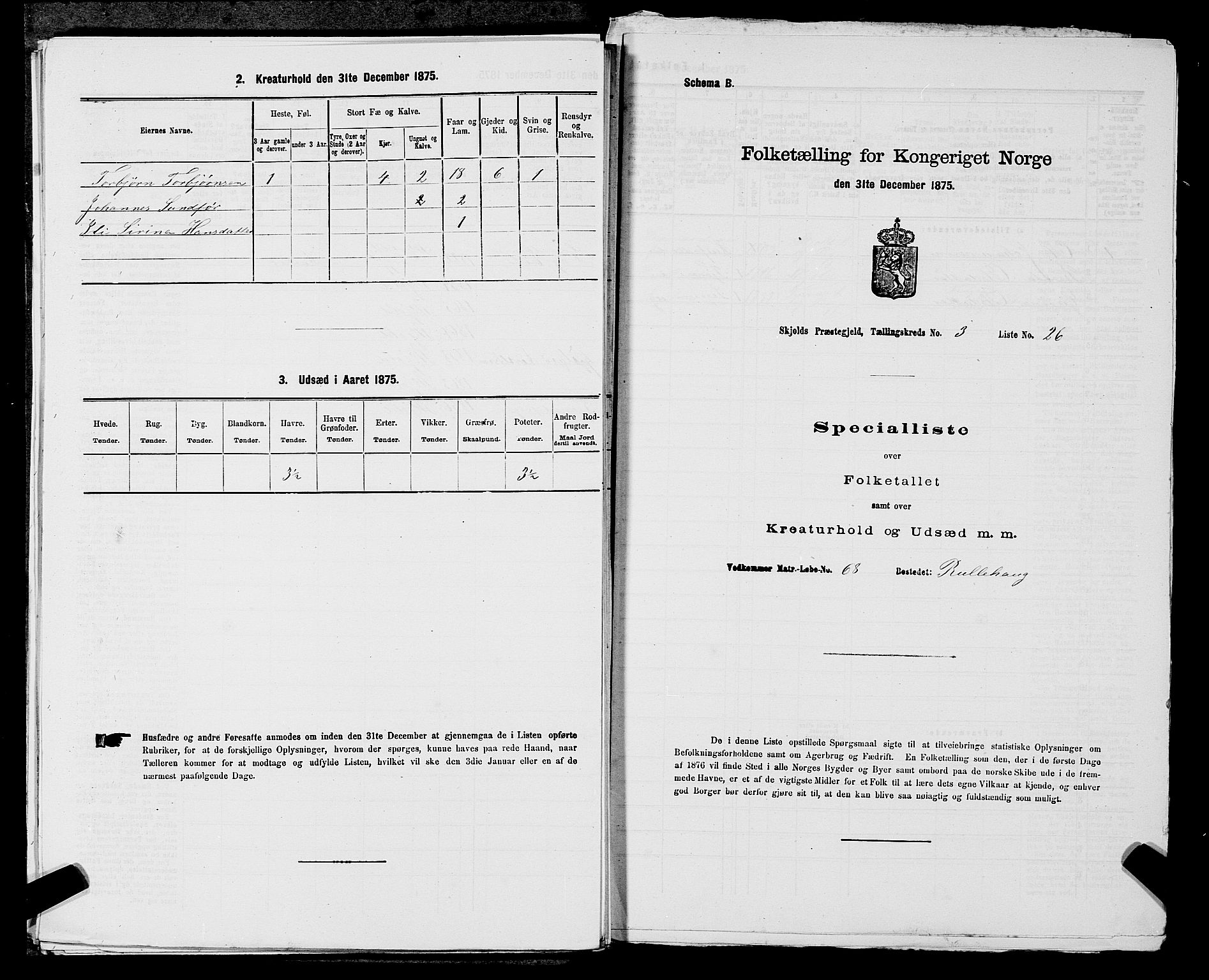SAST, 1875 census for 1154P Skjold, 1875, p. 272