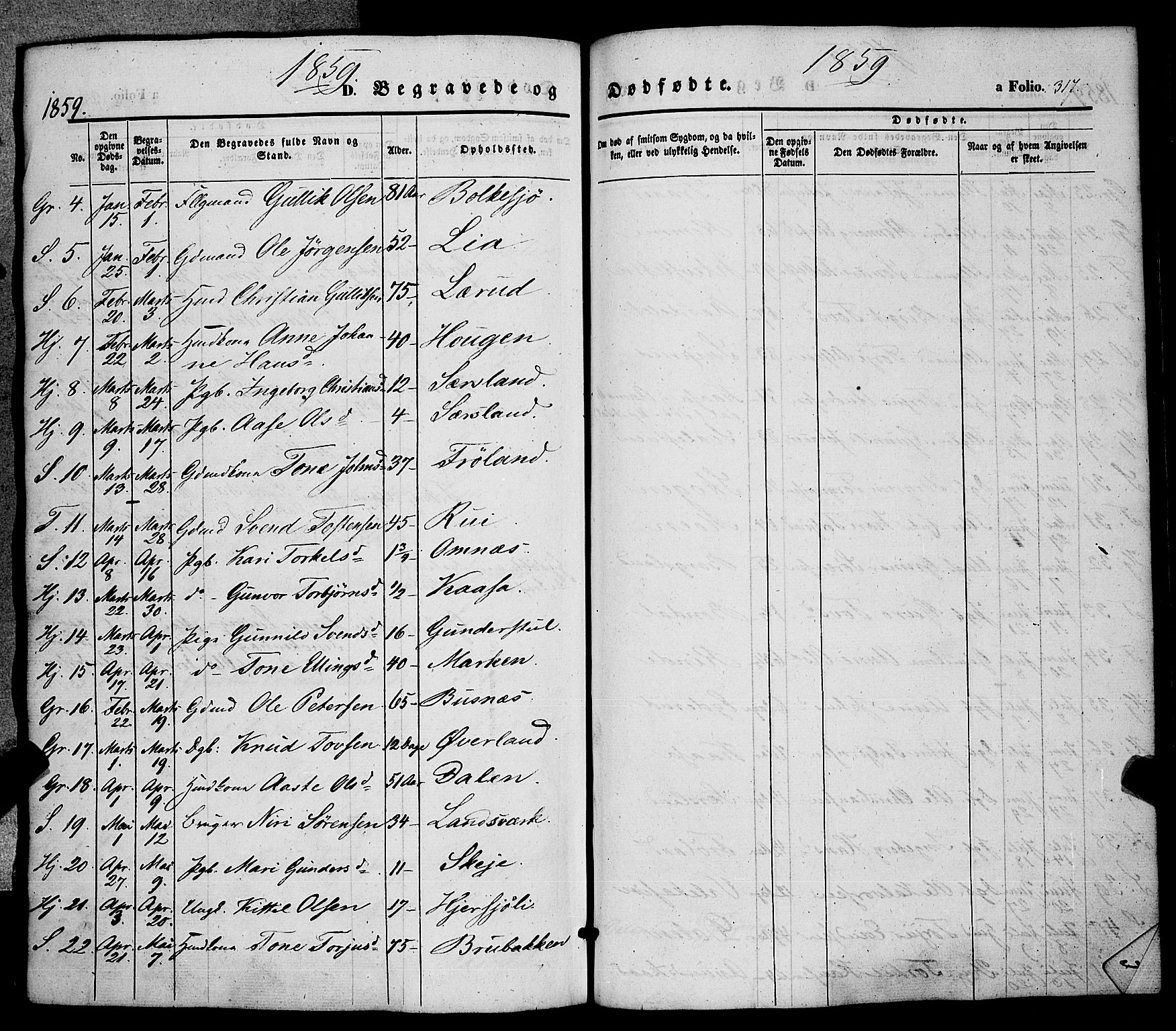 Hjartdal kirkebøker, AV/SAKO-A-270/F/Fa/L0008: Parish register (official) no. I 8, 1844-1859, p. 317