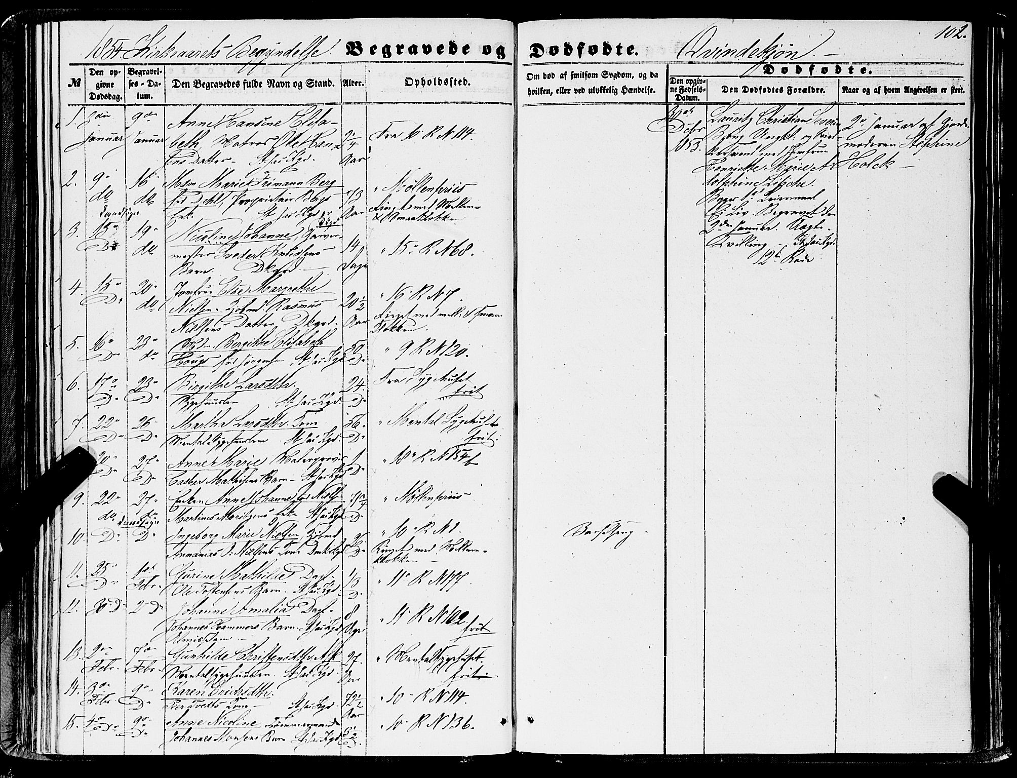 Domkirken sokneprestembete, SAB/A-74801/H/Haa/L0041: Parish register (official) no. E 2, 1853-1863, p. 102