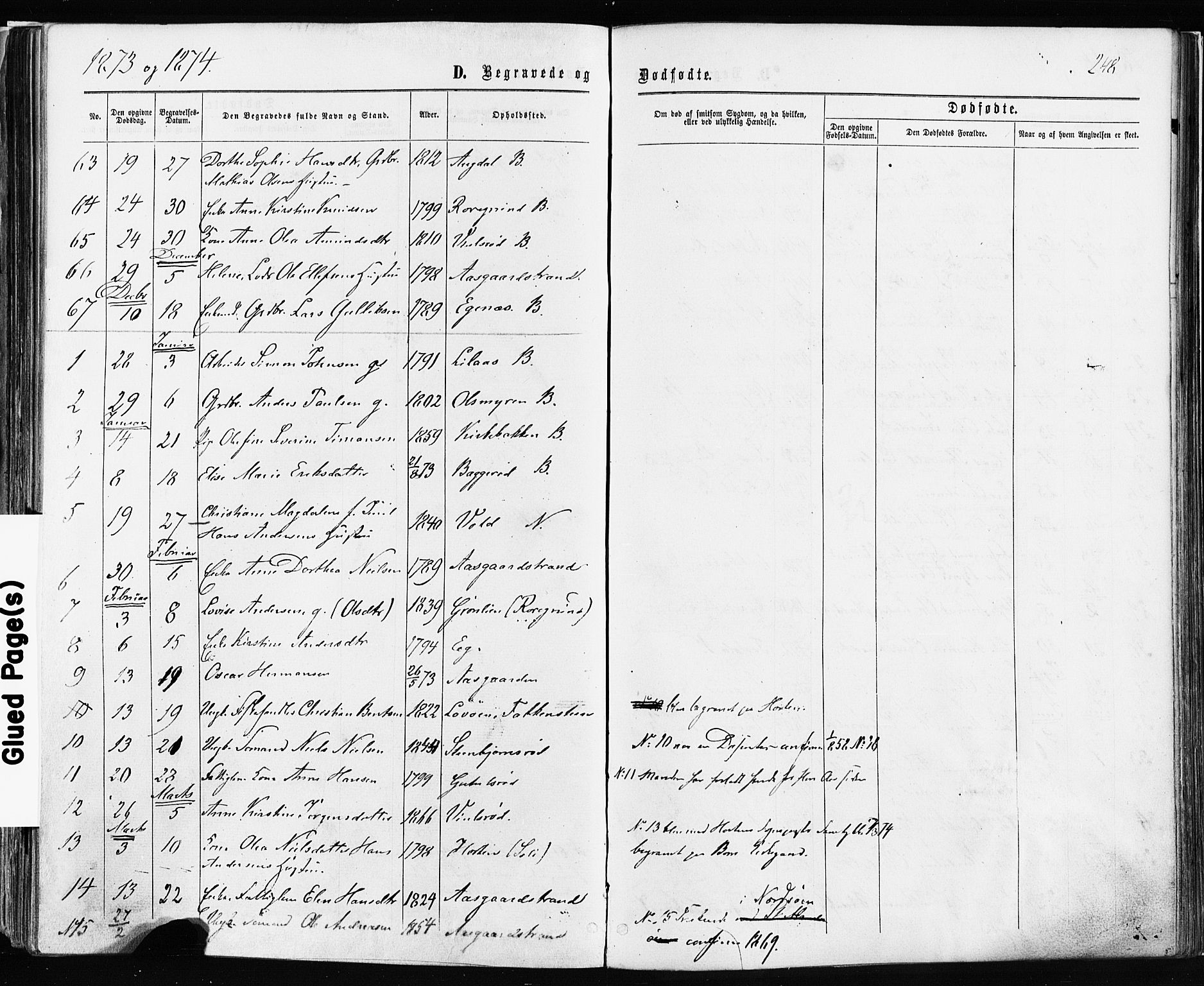 Borre kirkebøker, AV/SAKO-A-338/F/Fa/L0008: Parish register (official) no. I 8, 1868-1877, p. 248