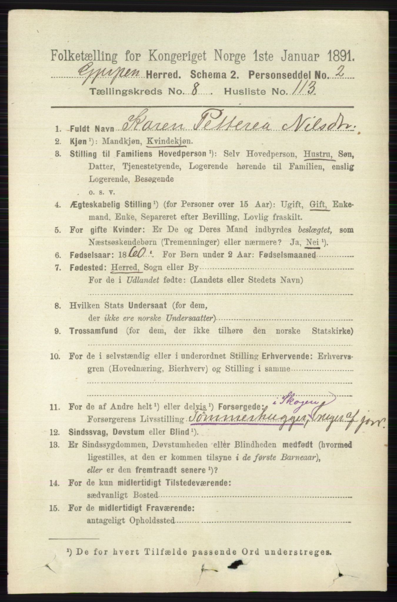 RA, 1891 census for 0812 Gjerpen, 1891, p. 4762