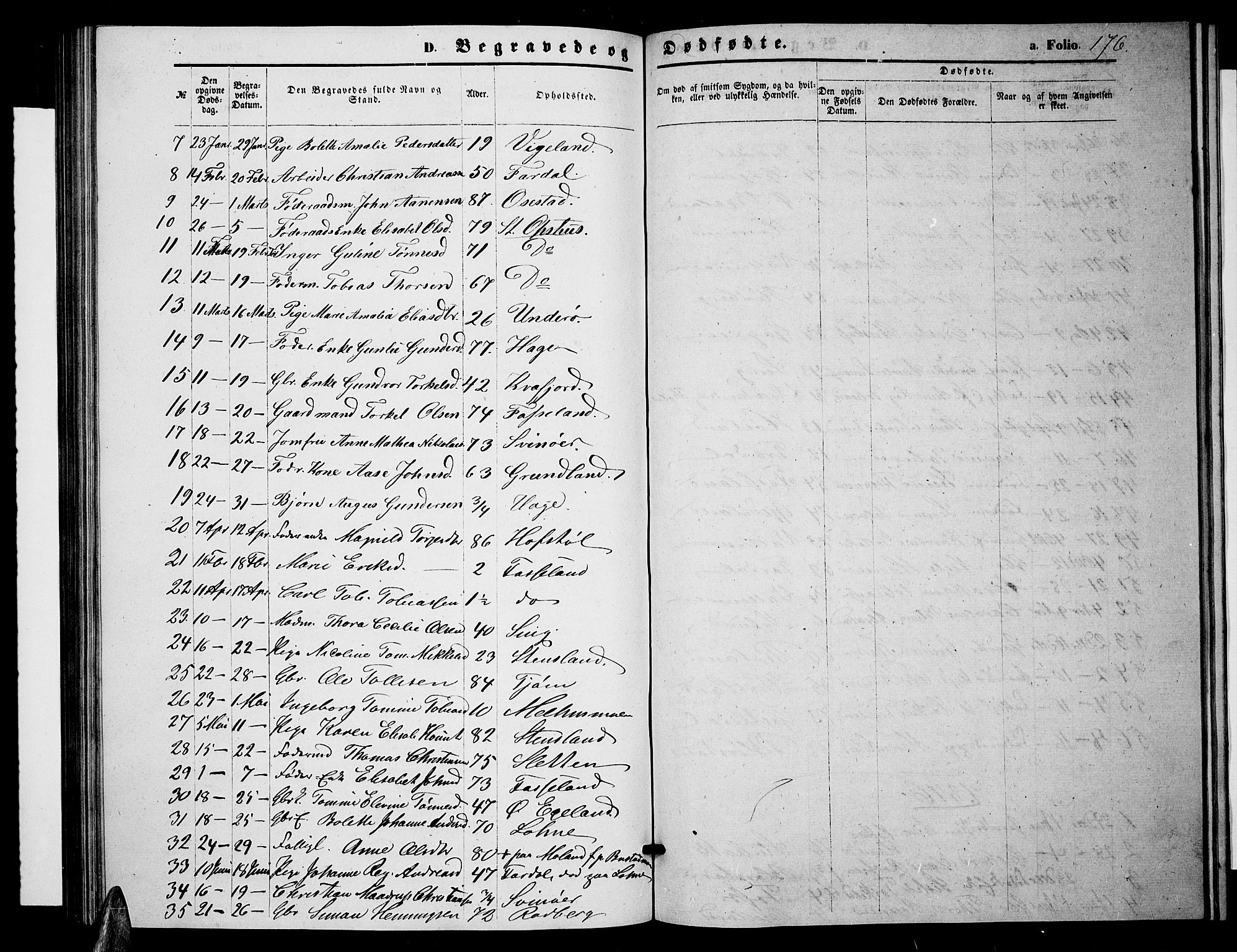 Sør-Audnedal sokneprestkontor, AV/SAK-1111-0039/F/Fb/Fbb/L0004: Parish register (copy) no. B 4, 1868-1879, p. 176
