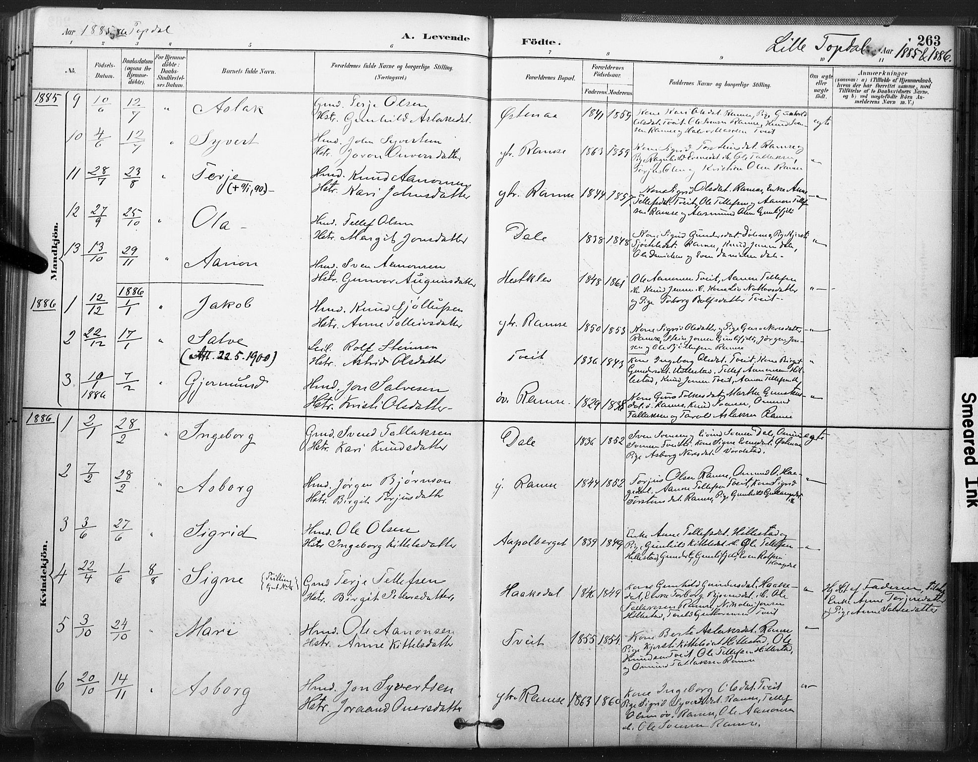 Åmli sokneprestkontor, AV/SAK-1111-0050/F/Fa/Fac/L0010: Parish register (official) no. A 10 /3, 1885-1899, p. 263