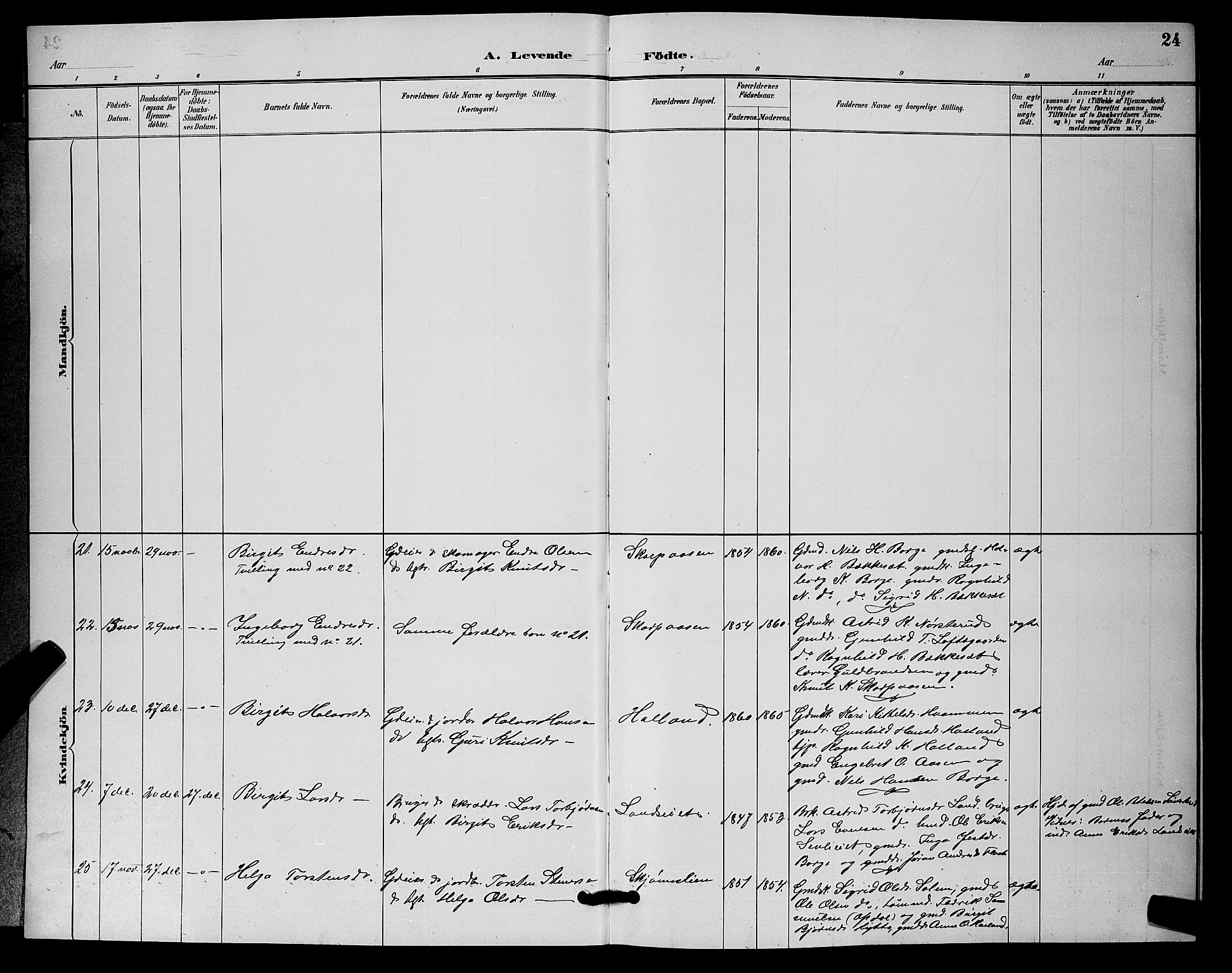 Nore kirkebøker, AV/SAKO-A-238/G/Ga/L0003: Parish register (copy) no. I 3, 1886-1903, p. 24