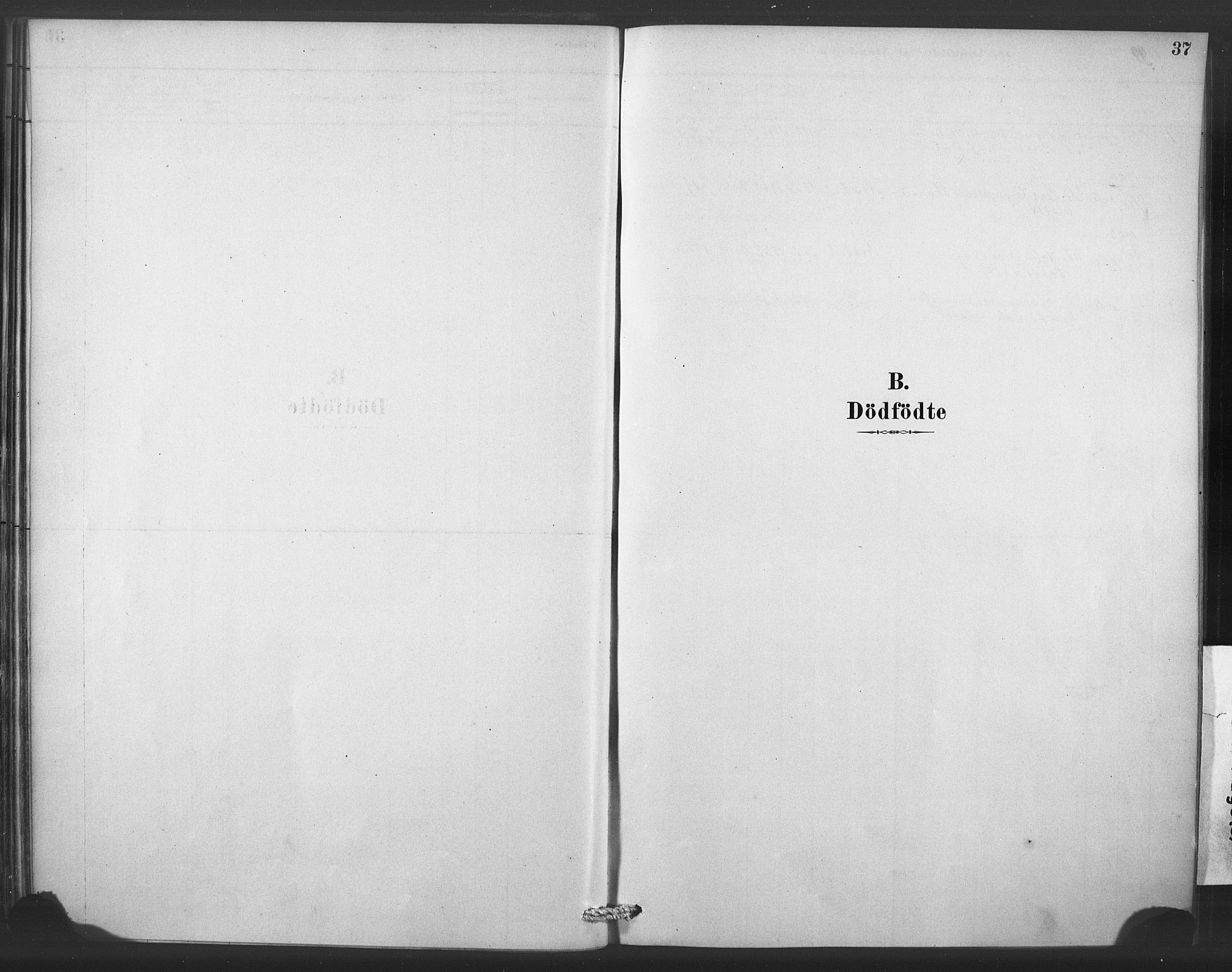 Stryn Sokneprestembete, SAB/A-82501: Parish register (official) no. C 1, 1878-1907, p. 37