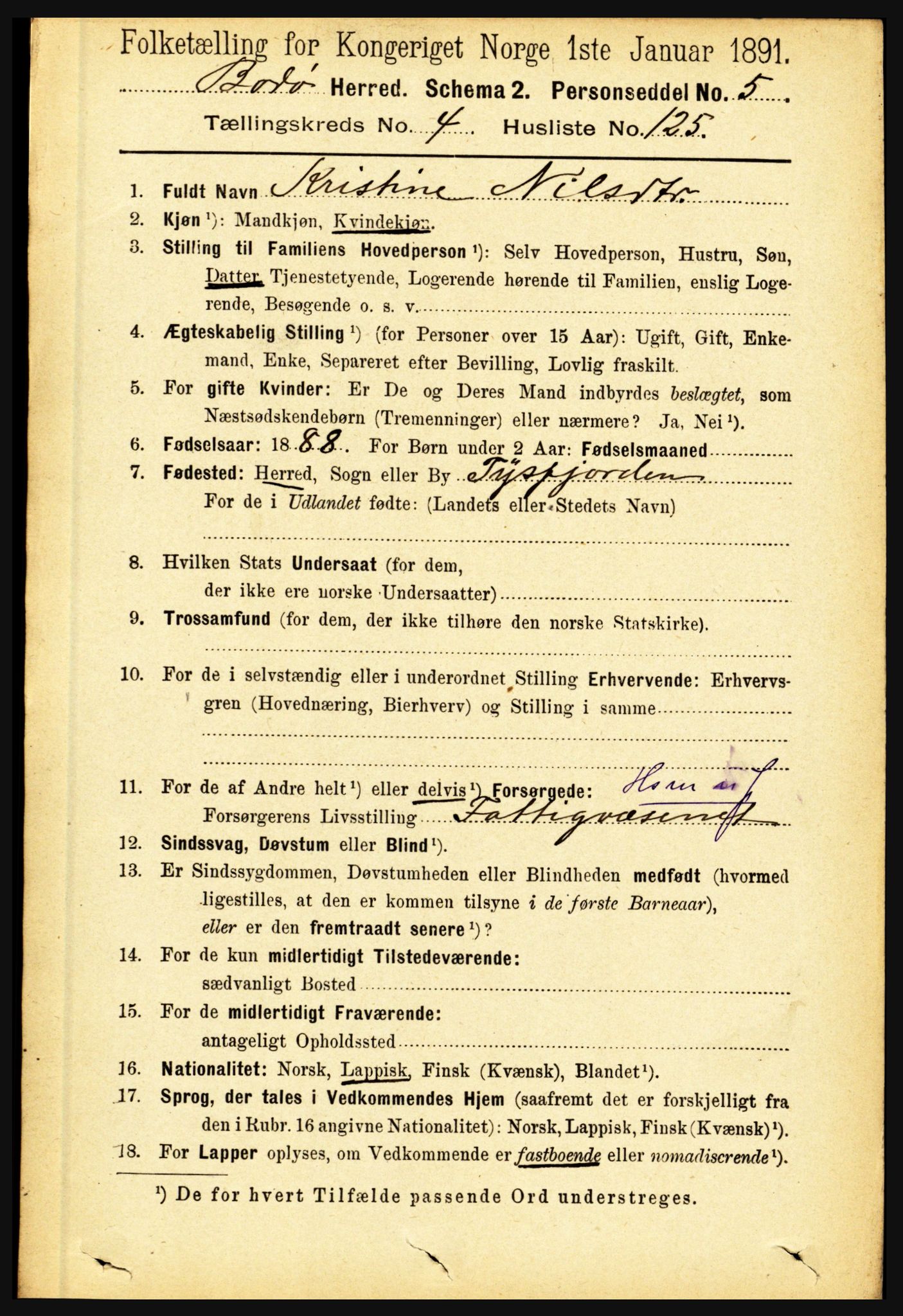 RA, 1891 census for 1843 Bodø, 1891, p. 3018