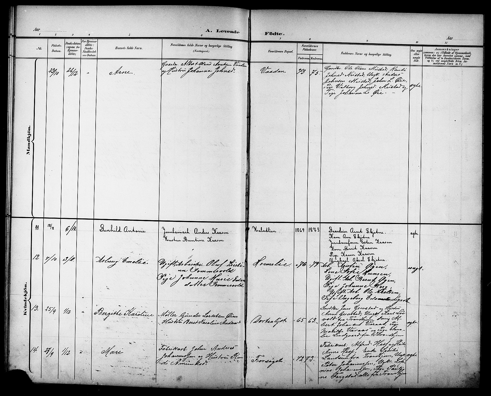 Ministerialprotokoller, klokkerbøker og fødselsregistre - Sør-Trøndelag, SAT/A-1456/611/L0355: Parish register (copy) no. 611C03, 1897-1914